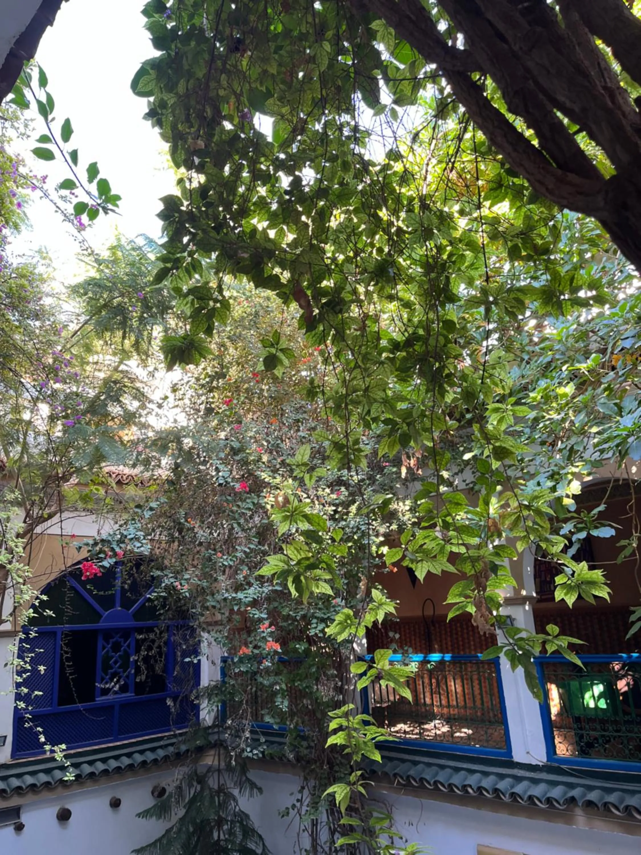 Riad Maryam Taroudant