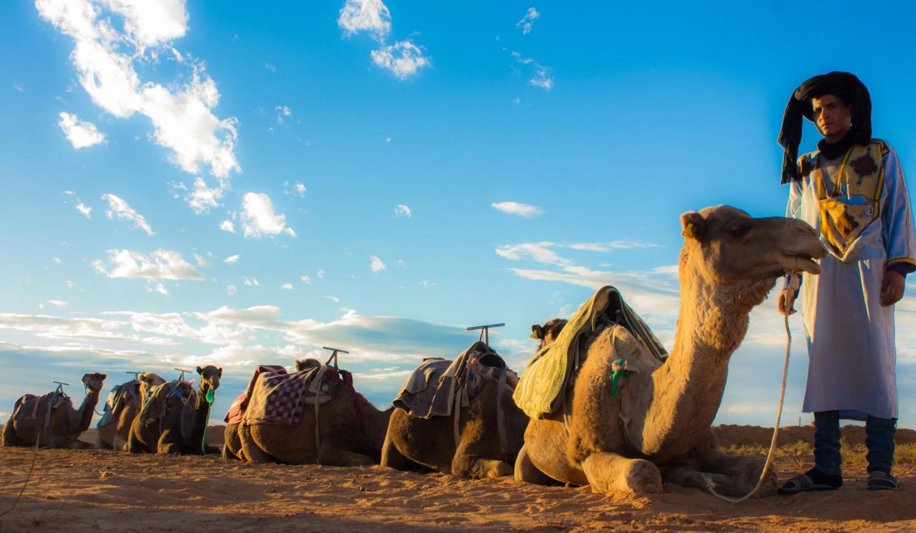 group of guests in Palais Du Desert Hotel & Spa
