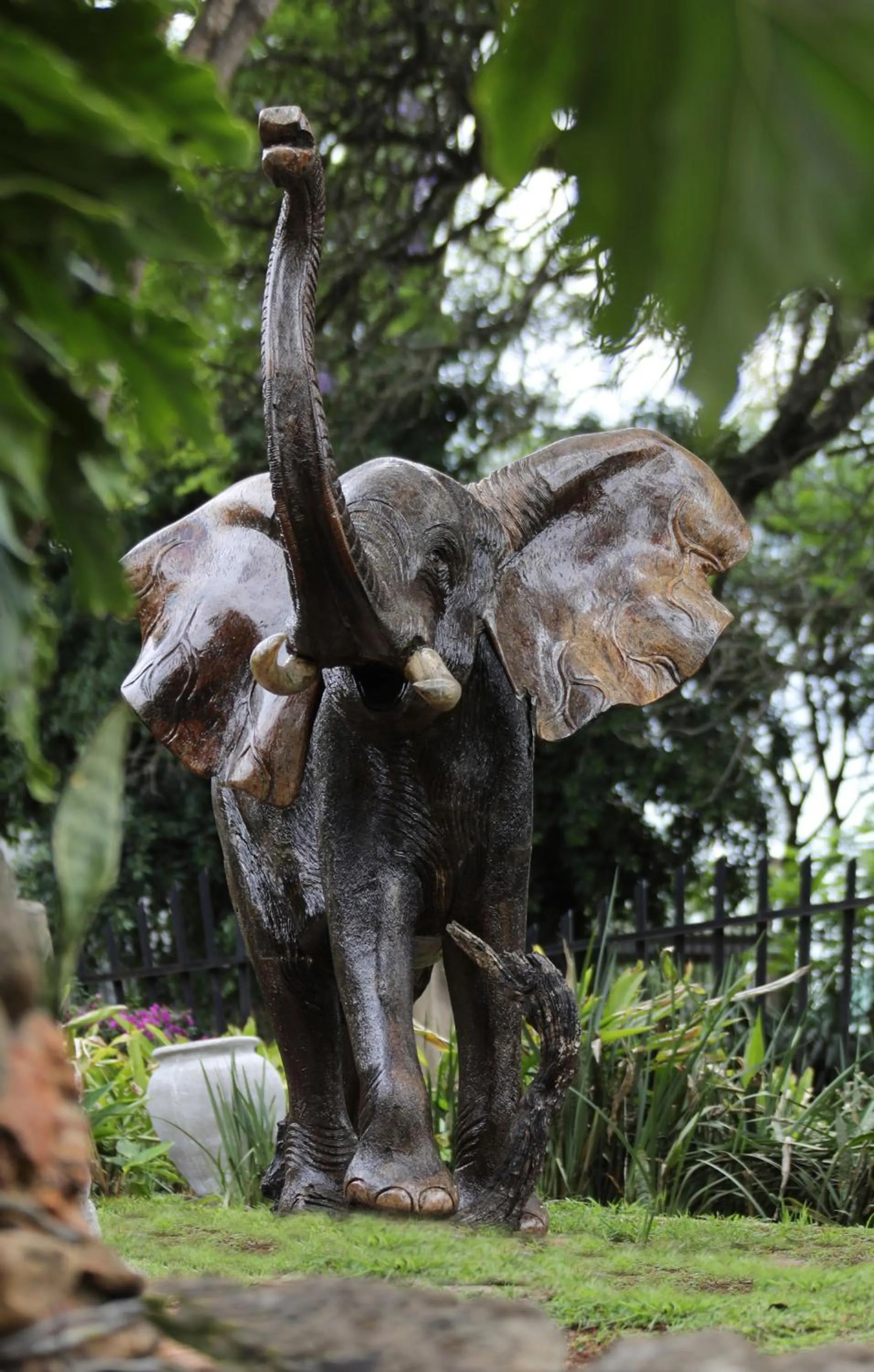 Animals in Villa Ticino Guest House