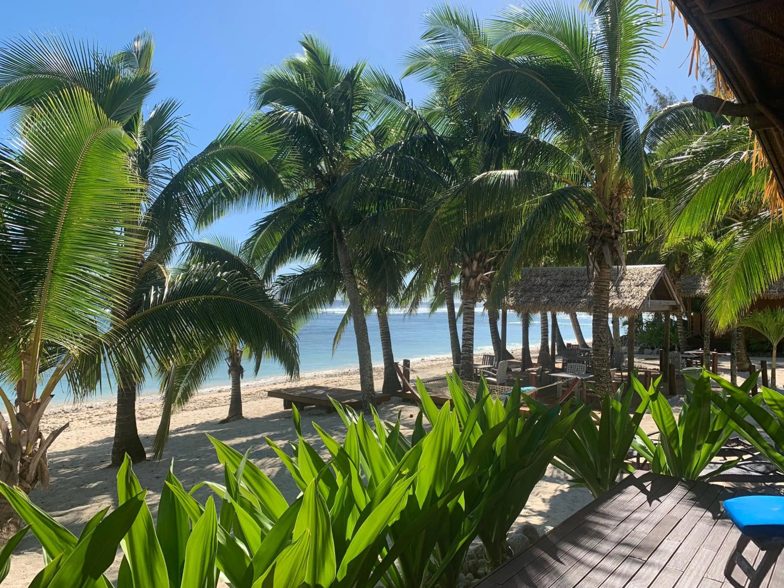 Balcony/Terrace in Magic Reef Bungalows
