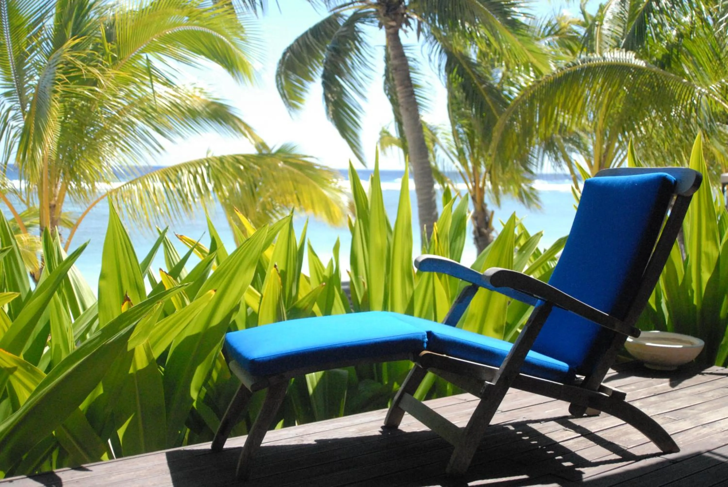 View (from property/room) in Magic Reef Bungalows