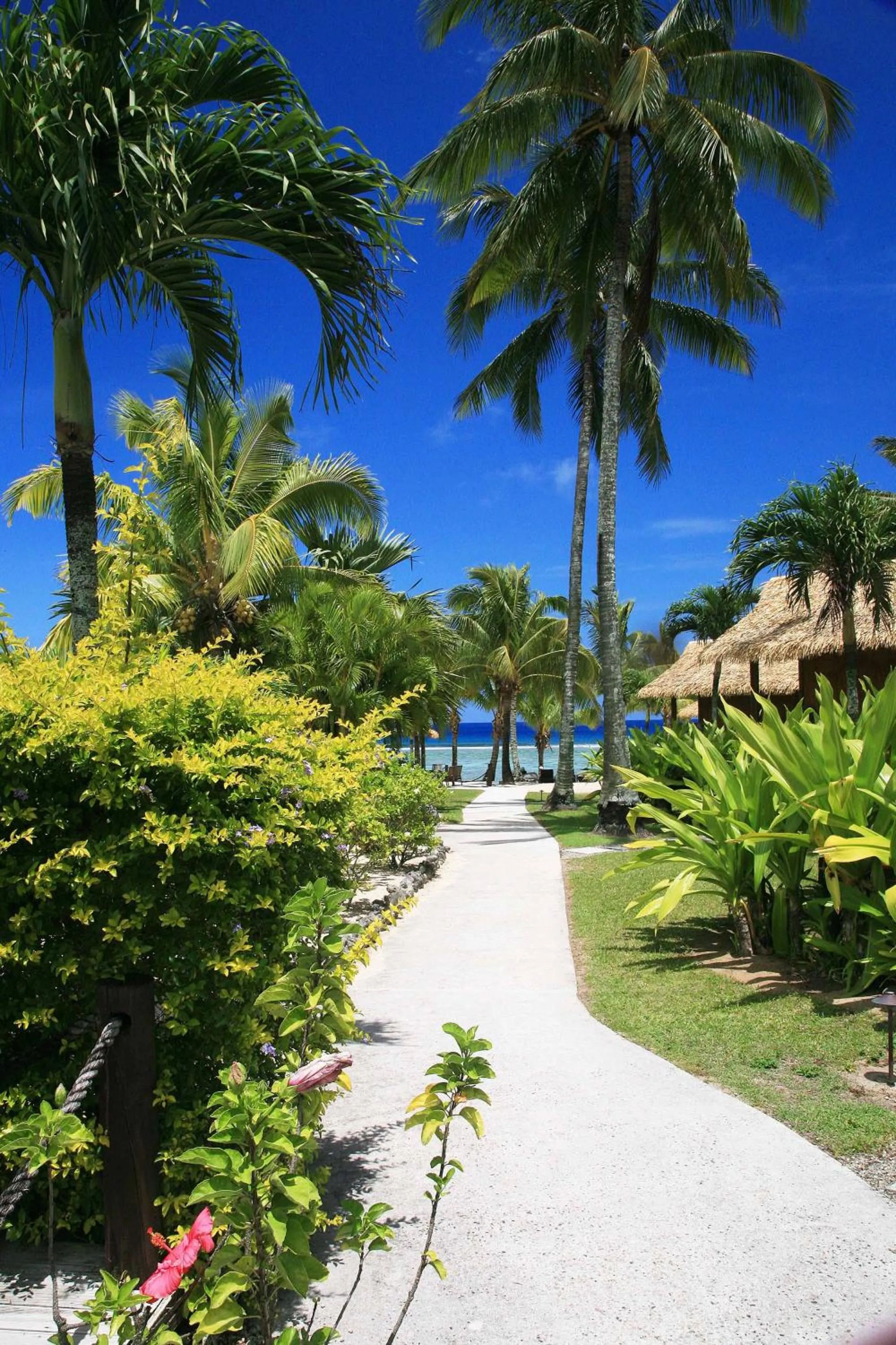 Garden in Magic Reef Bungalows