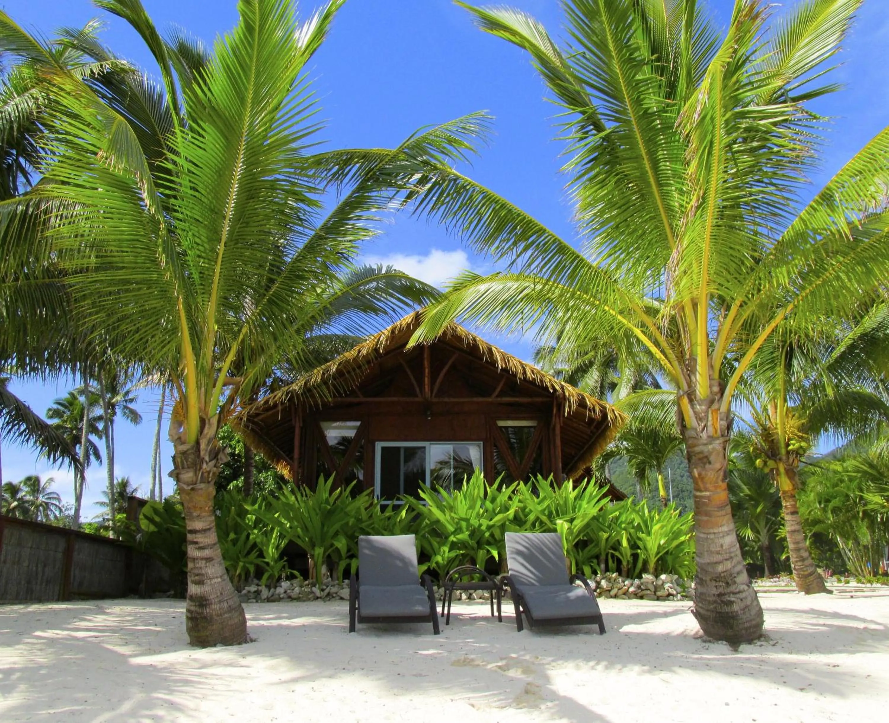 Property building in Magic Reef Bungalows