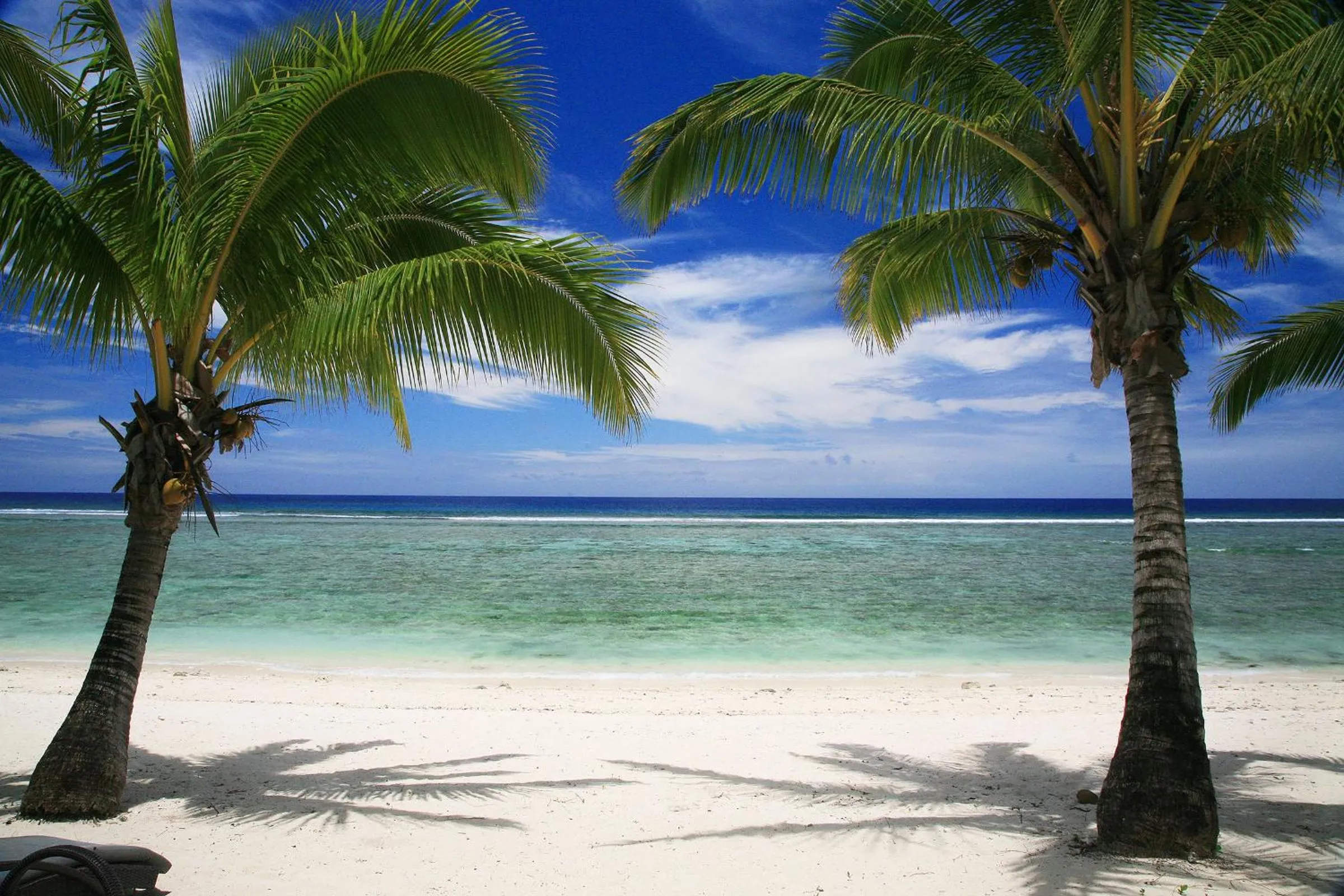 Beach in Magic Reef Bungalows