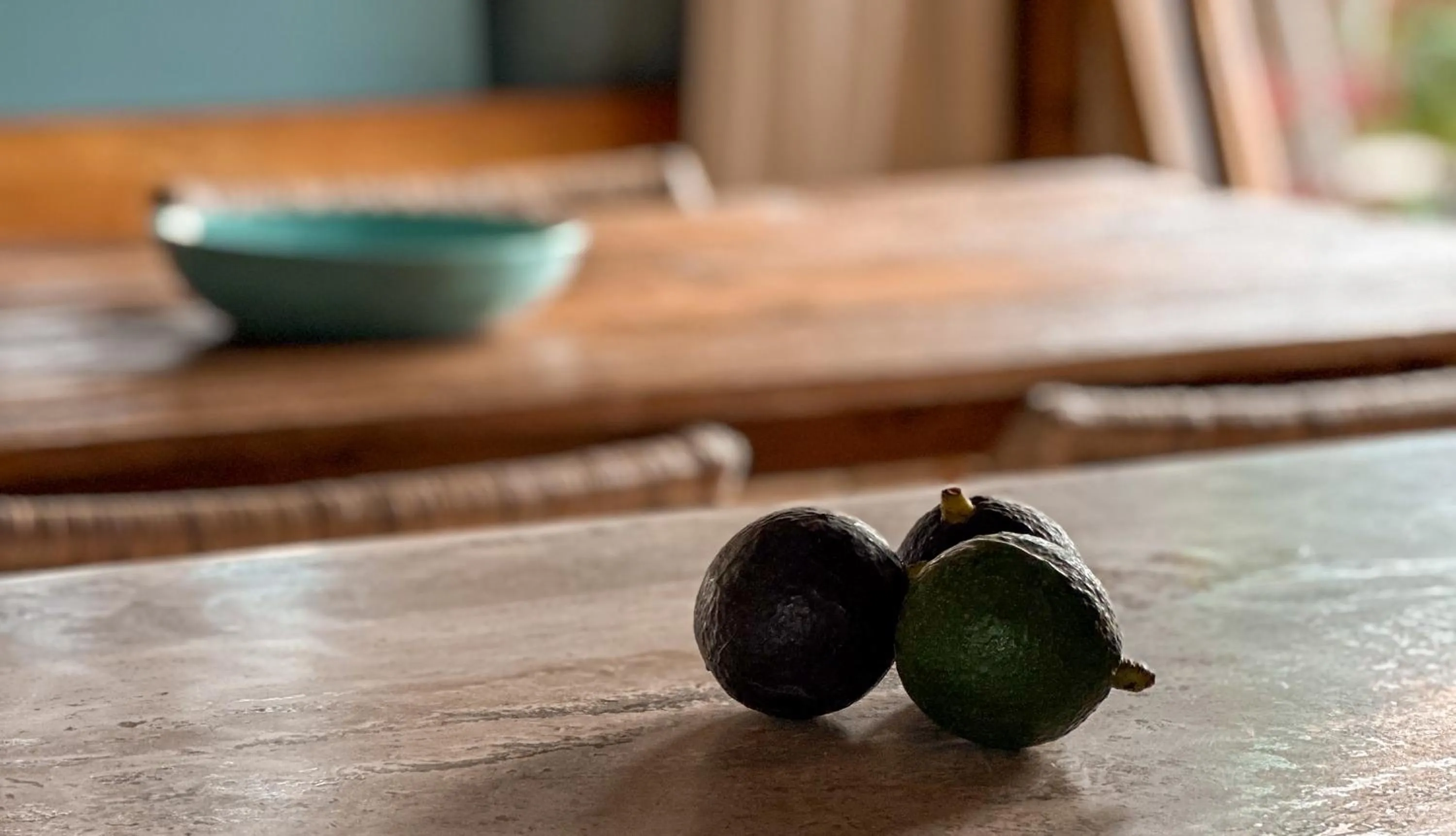 Food and drinks in Magic Reef Bungalows