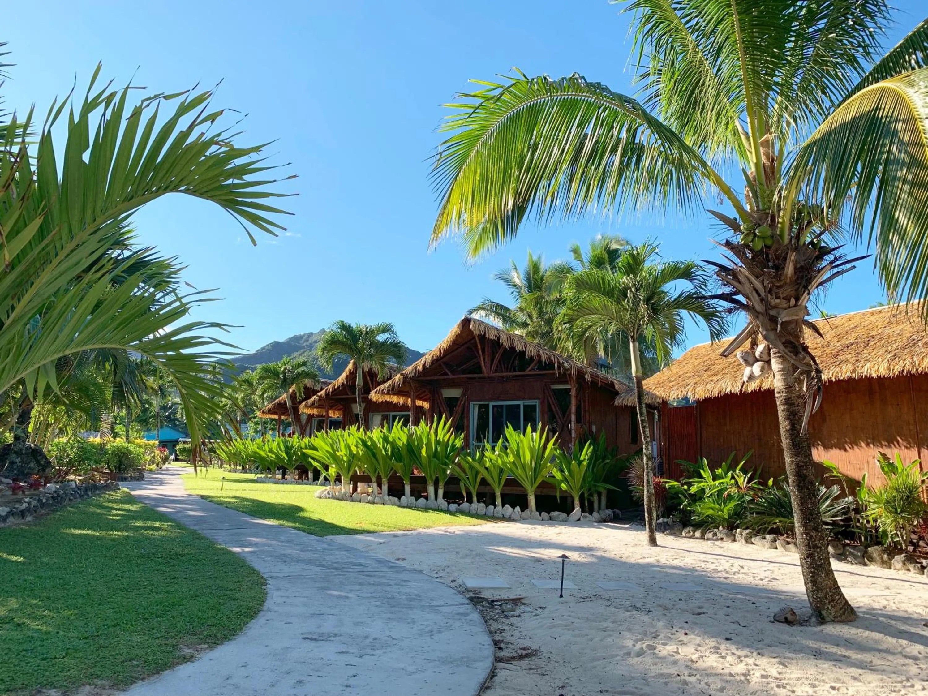 Garden view in Magic Reef Bungalows