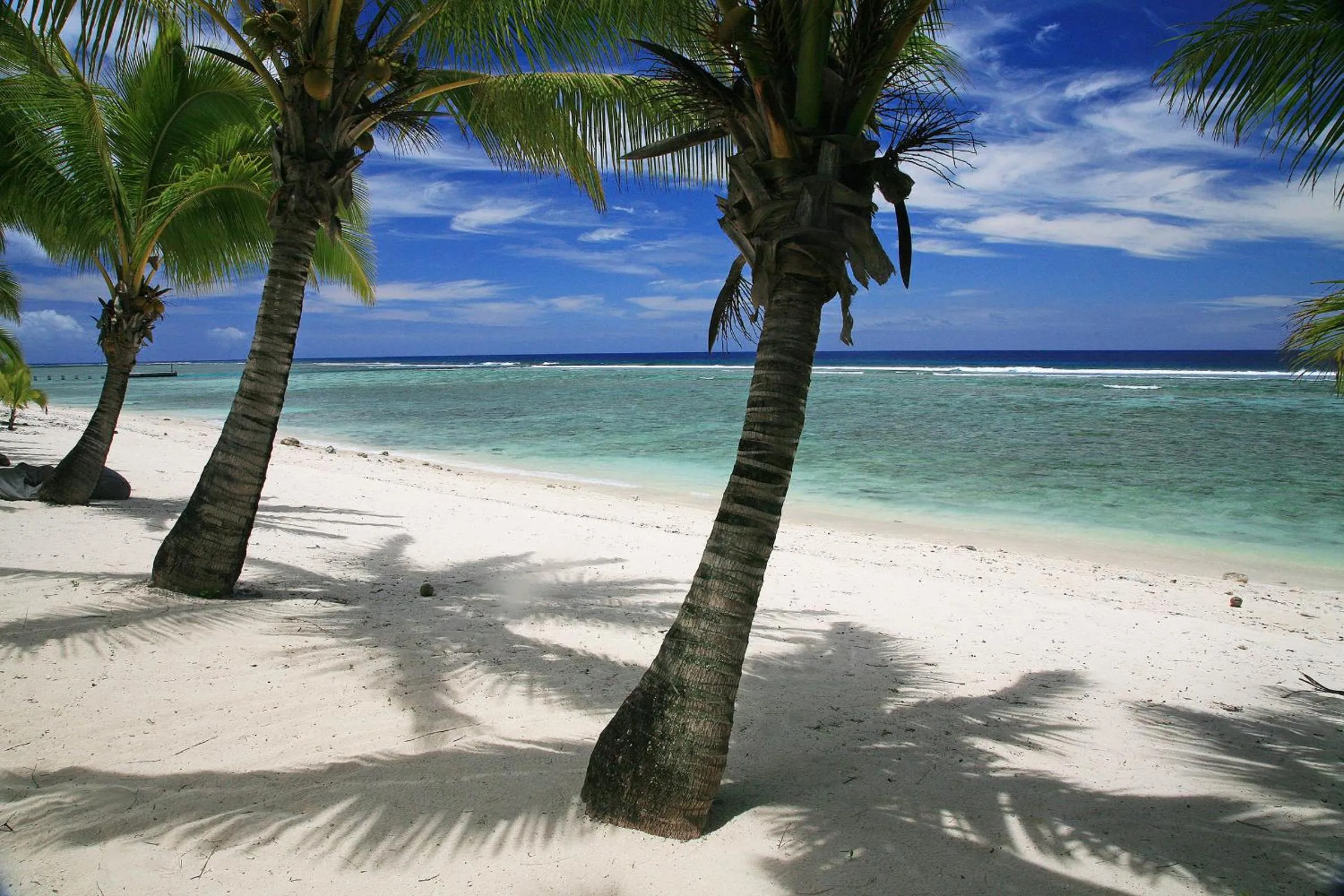 Beach in Magic Reef Bungalows