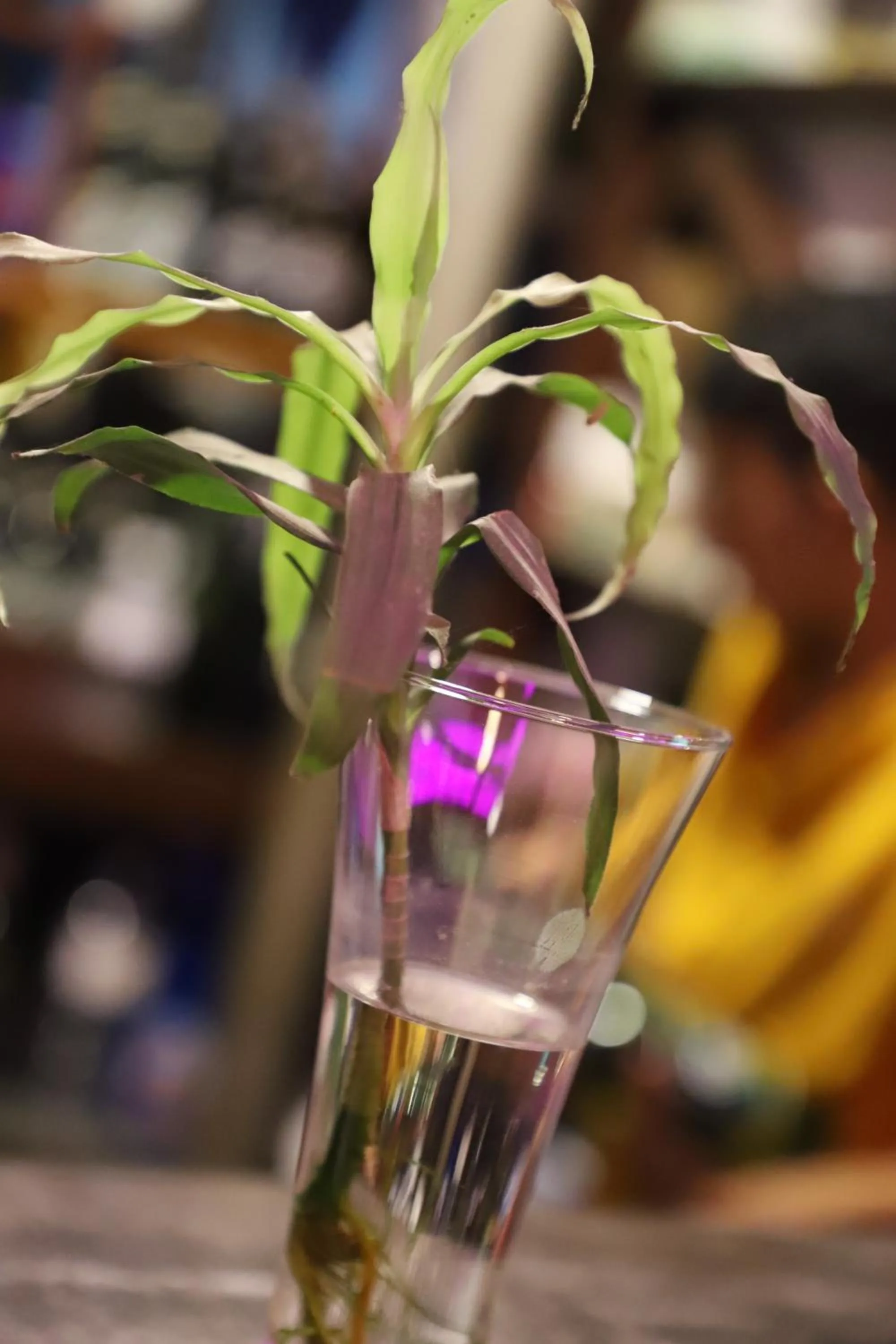 Property building in Hotel Pathibhara