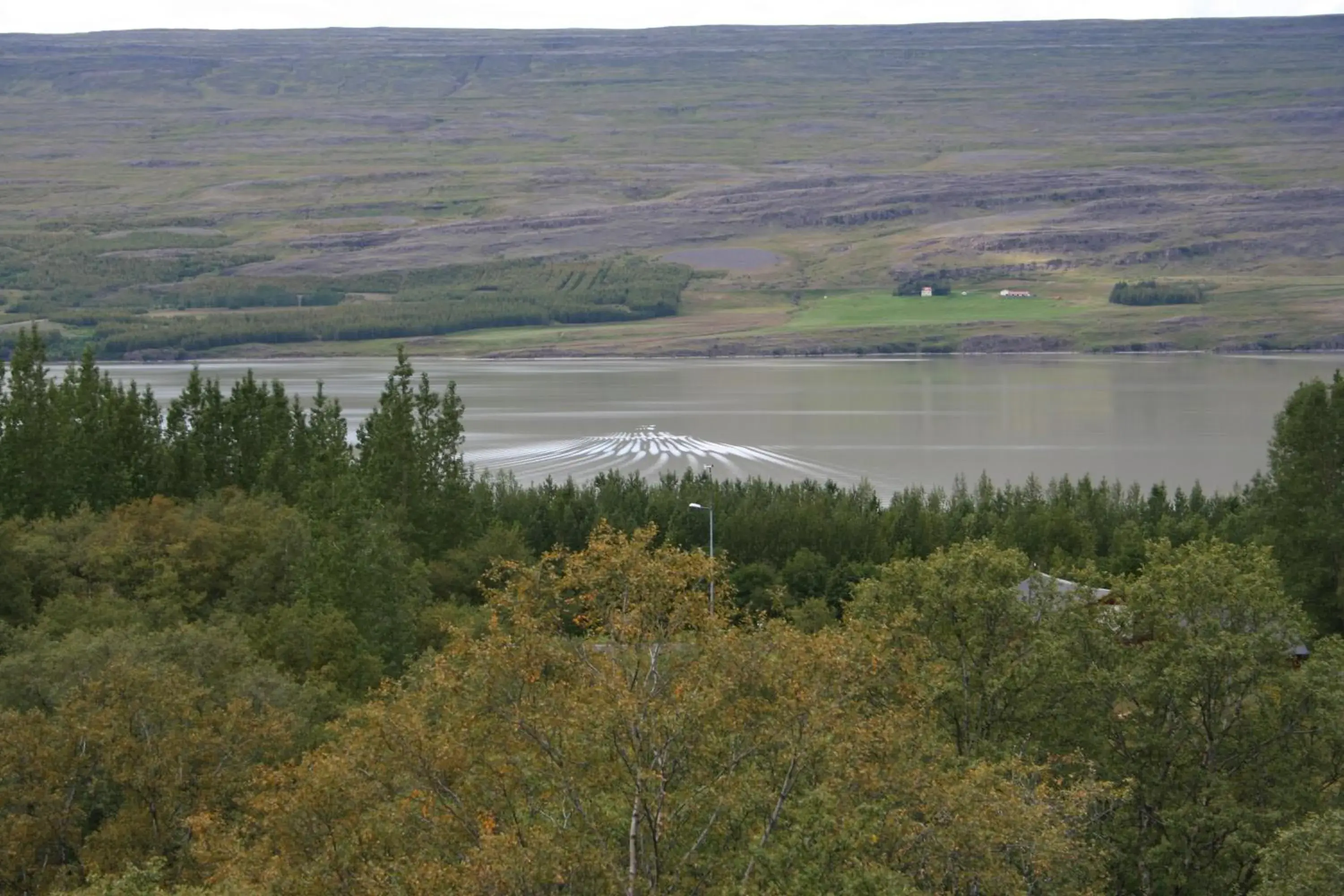 Double Room with Lake View in Hotel Hallormsstadur Double Room with Lake View in Hotel Hallormsstadur