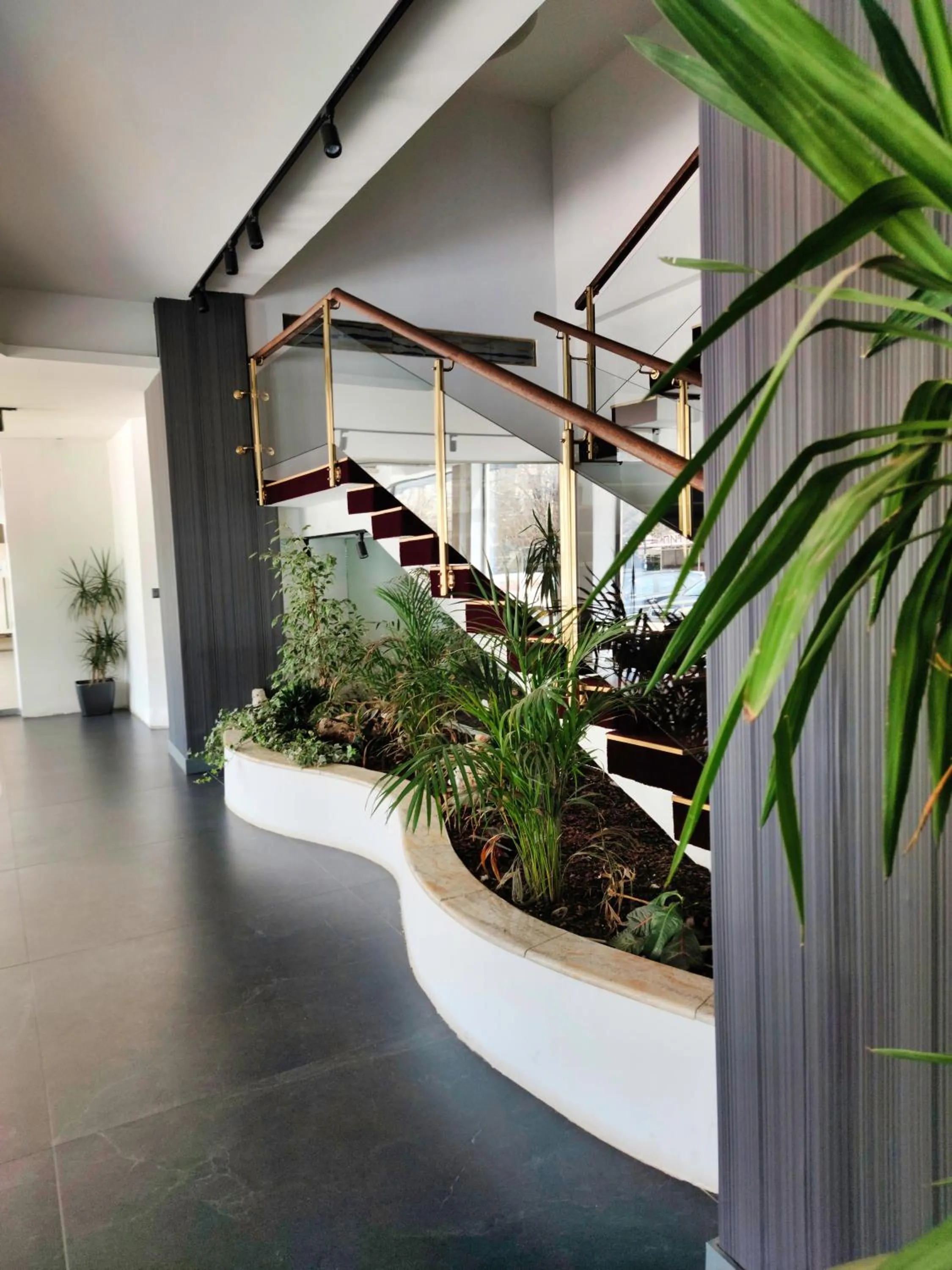 Garden view in Oaza Hotel