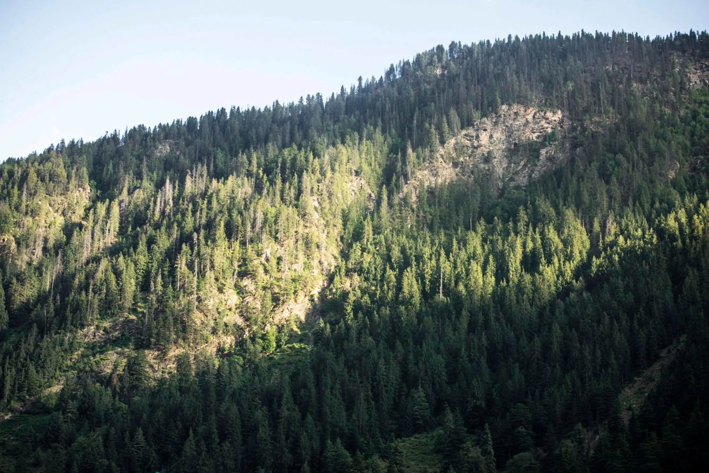 Natural landscape in The Kamru Riverside Camps and Resorts