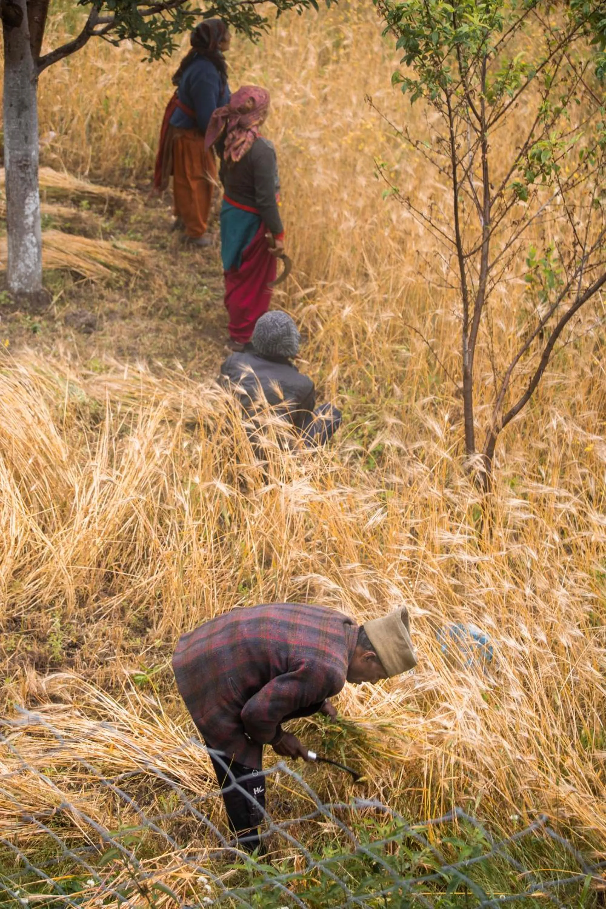 People in The Kamru Riverside Camps and Resorts