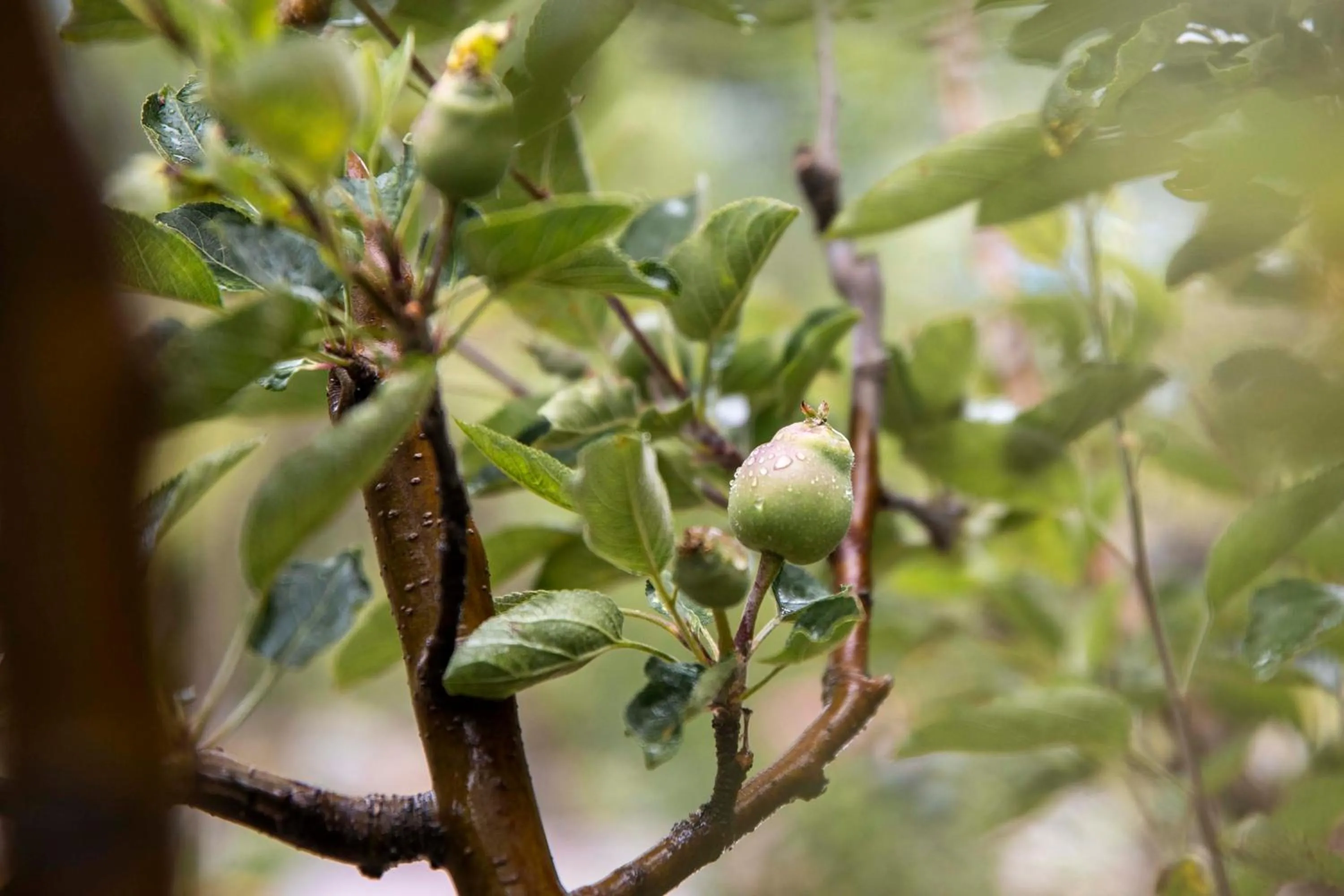 Natural landscape in The Kamru Riverside Camps and Resorts