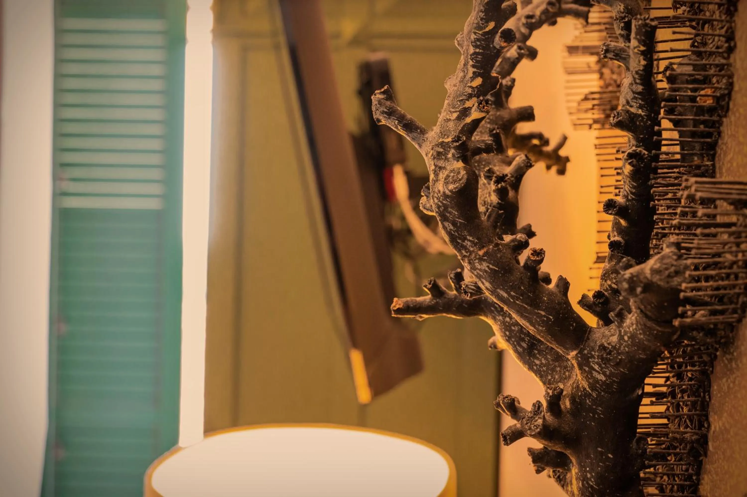 Aria Rooms and Terrace