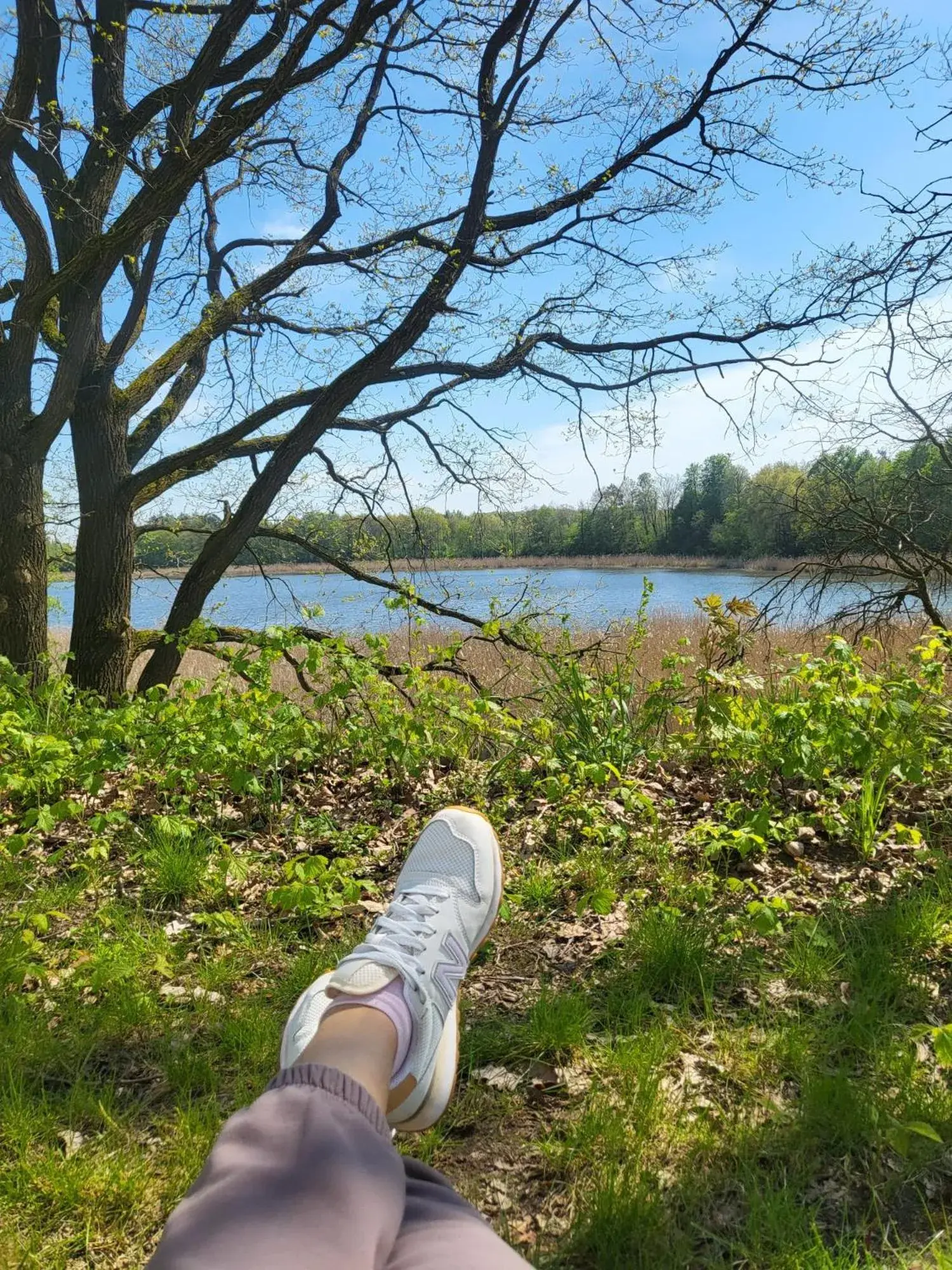 Przystań Natura Przystań Natura