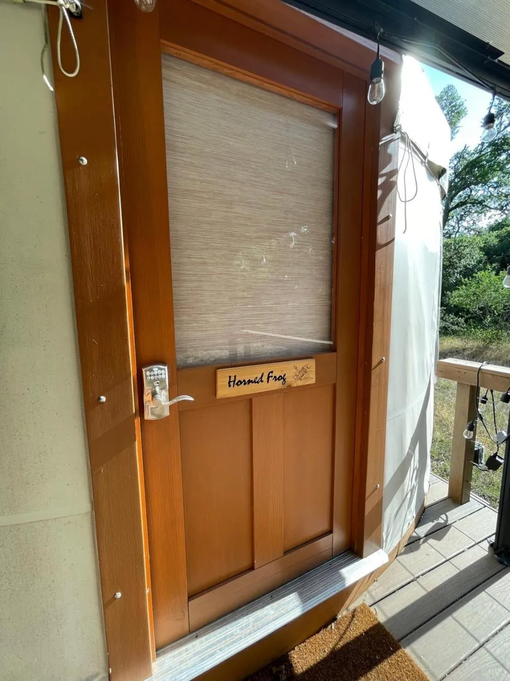 Other in OT 3515H Texas Yurt Haus Horned Frog