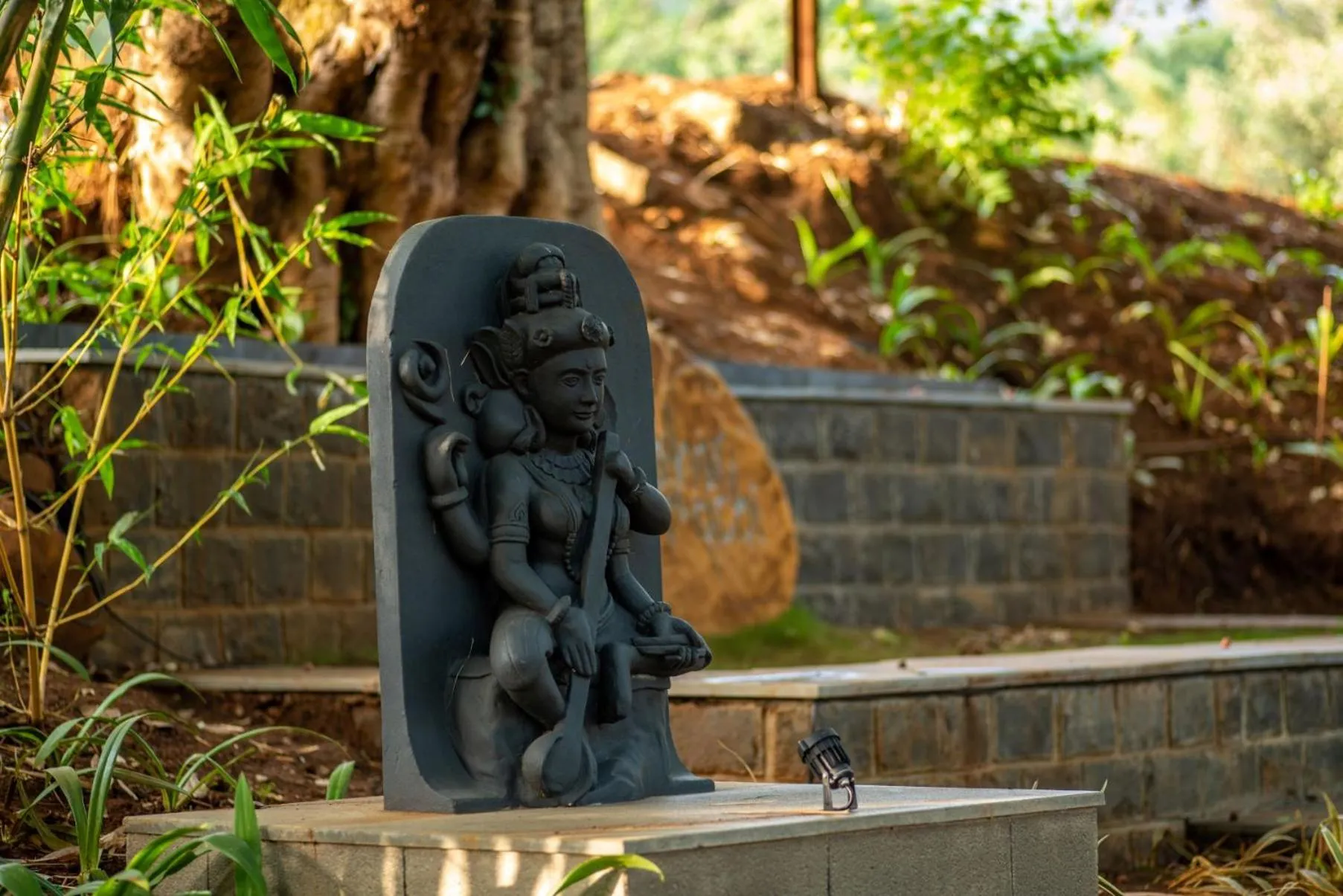 Garden in Malhar Machi Mountain Resorts