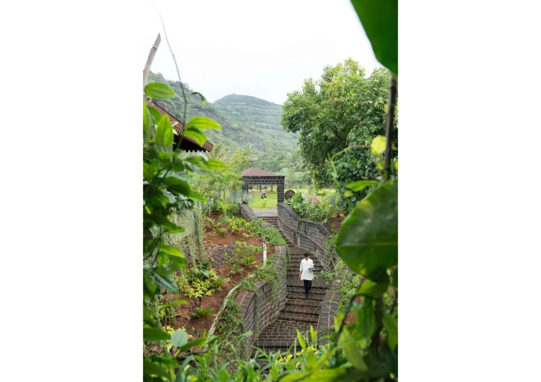 View (from property/room) in Malhar Machi Mountain Resorts