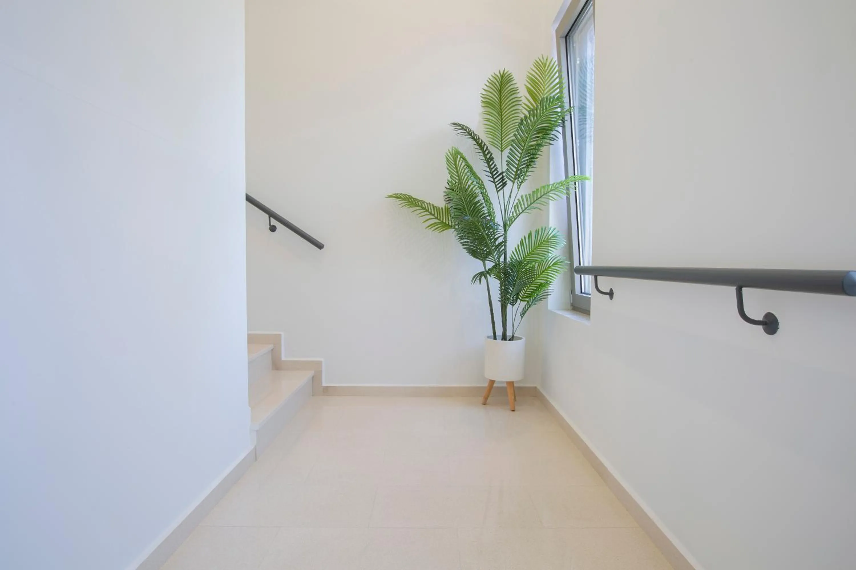 Lirides suites