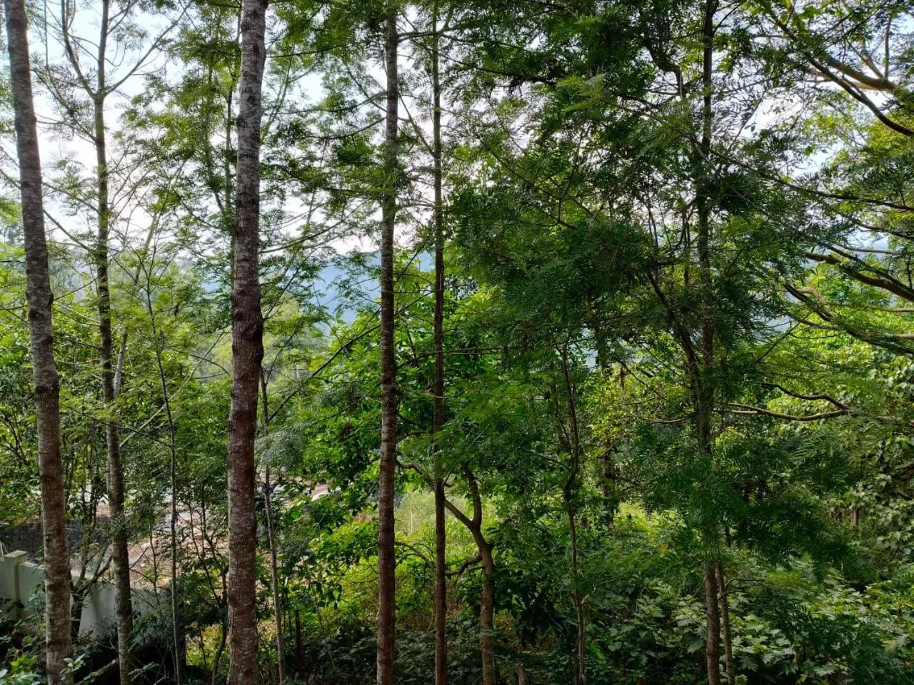 Garden view in Yercaud Bungalow Stay