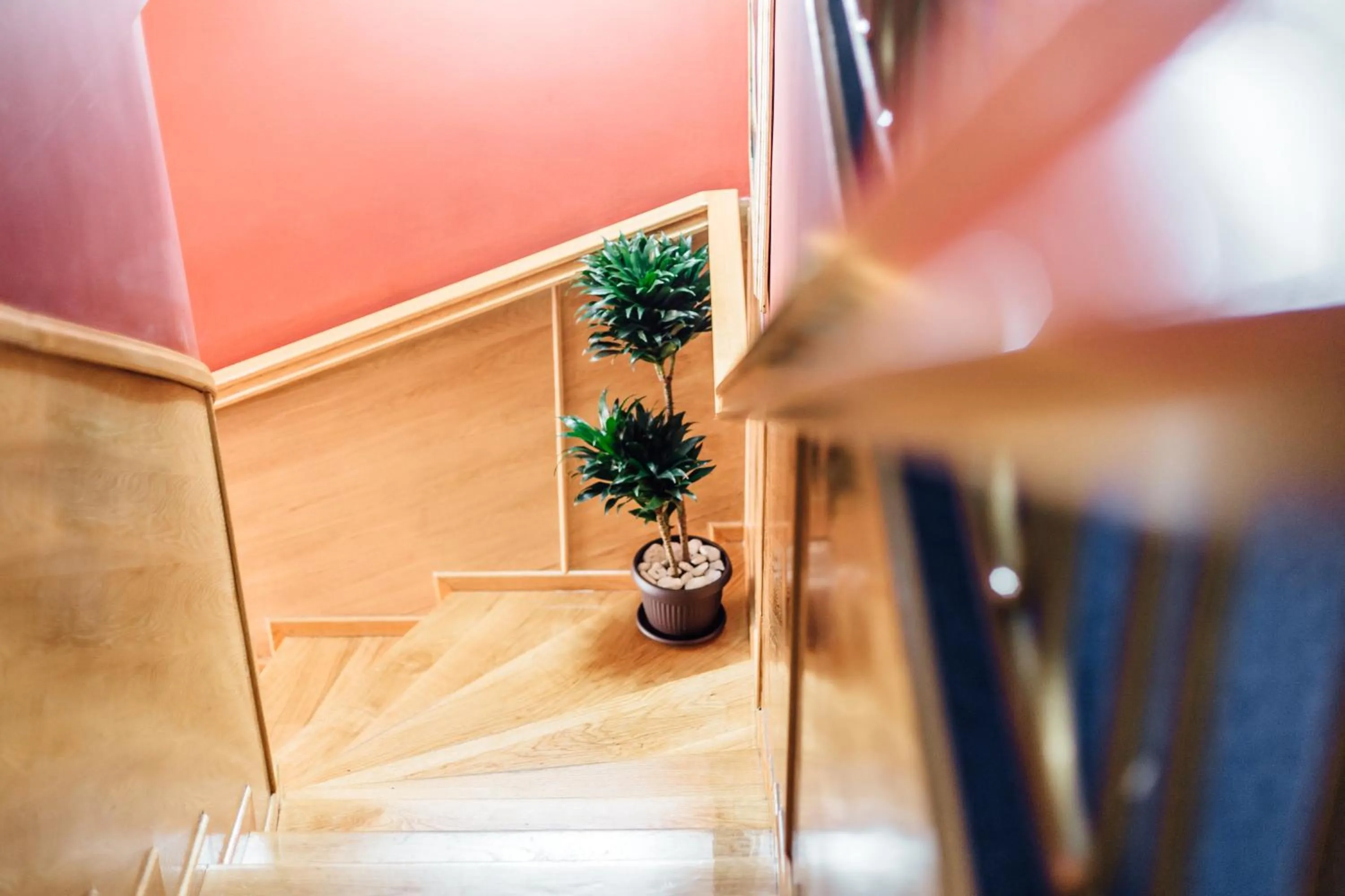 Lobby or reception in Hotel Azzurro