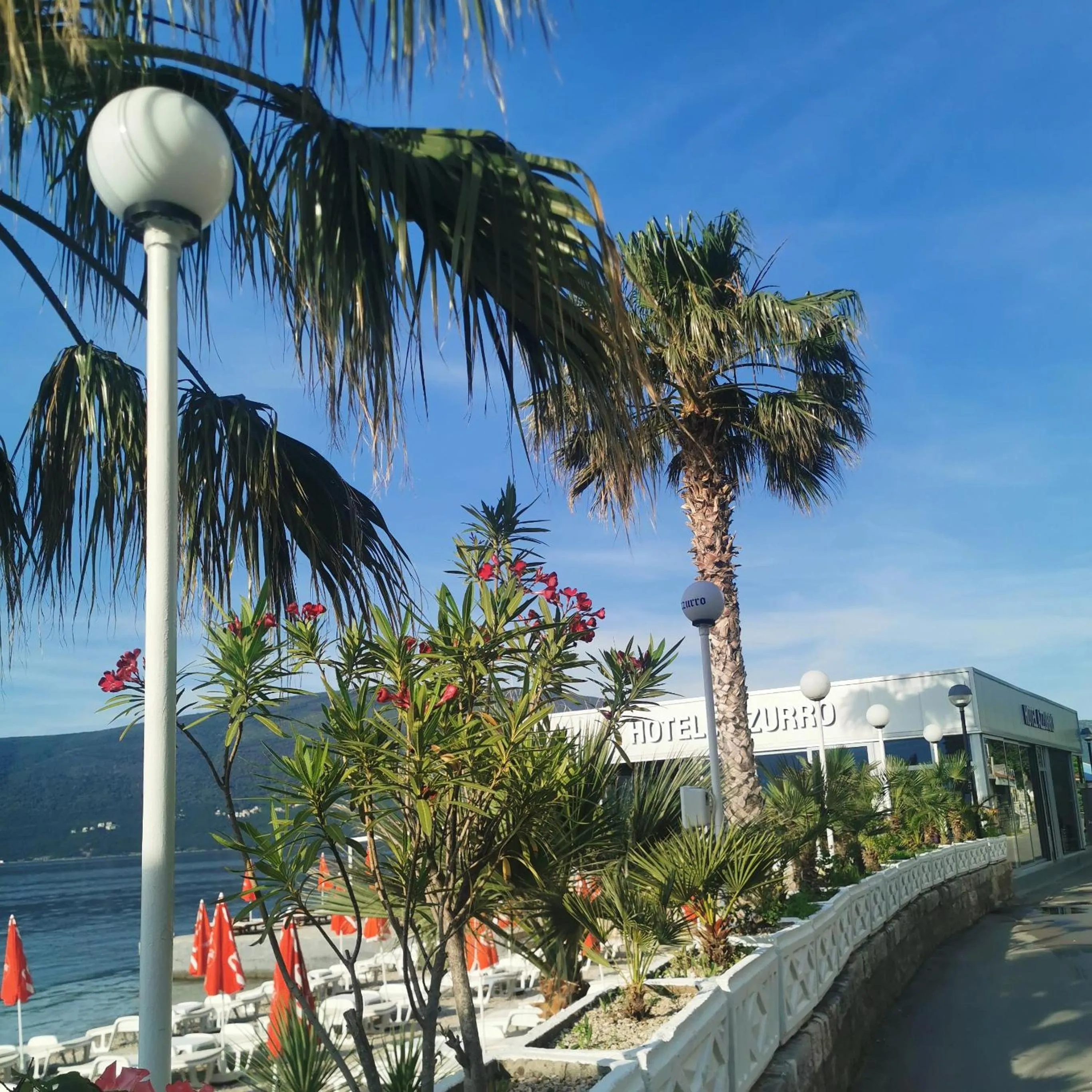 Restaurant/places to eat in Hotel Azzurro