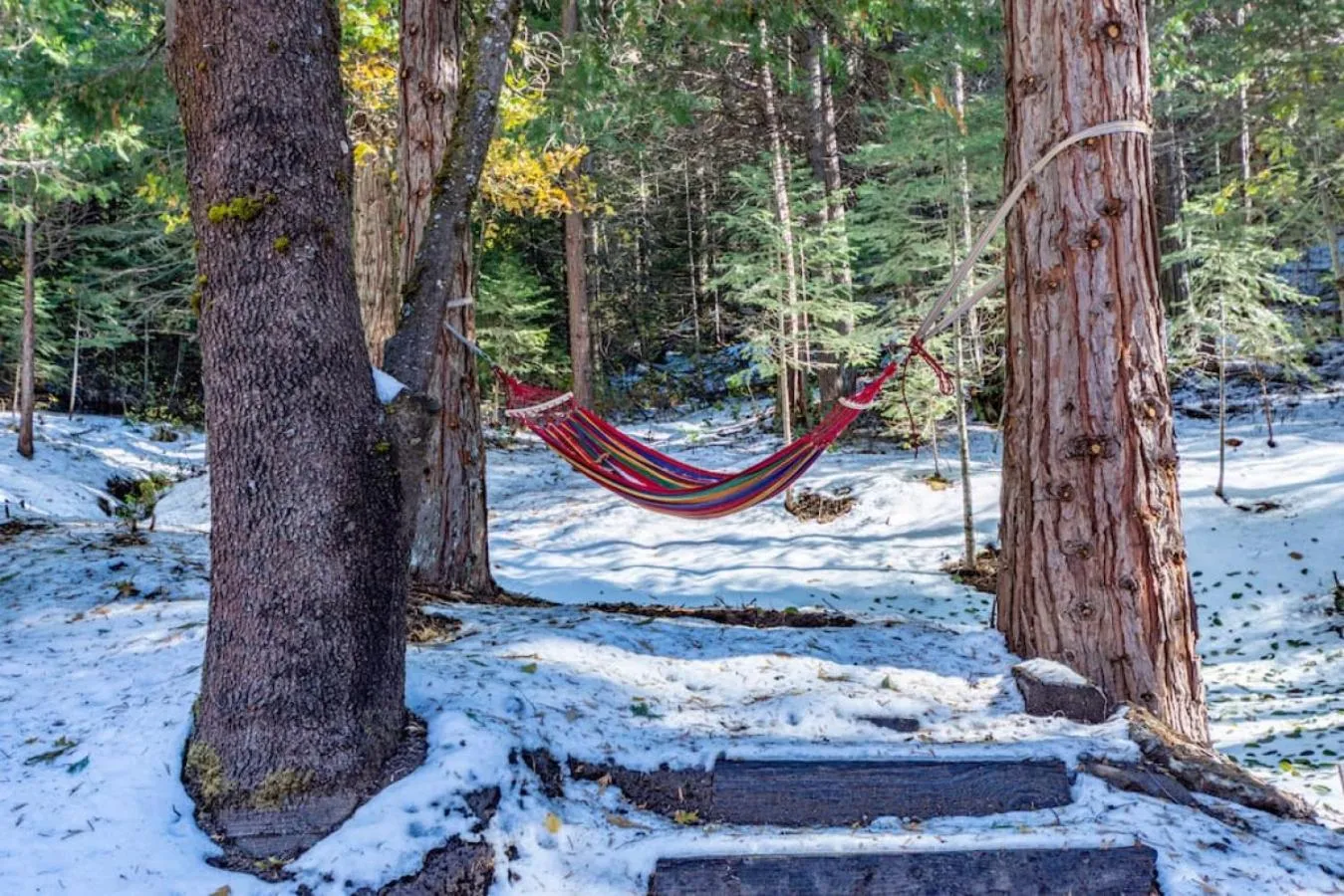 Red Rock Falls Cabin, 8 miles from Yosemite South Gate, with trailhead, Game Room and HotTub