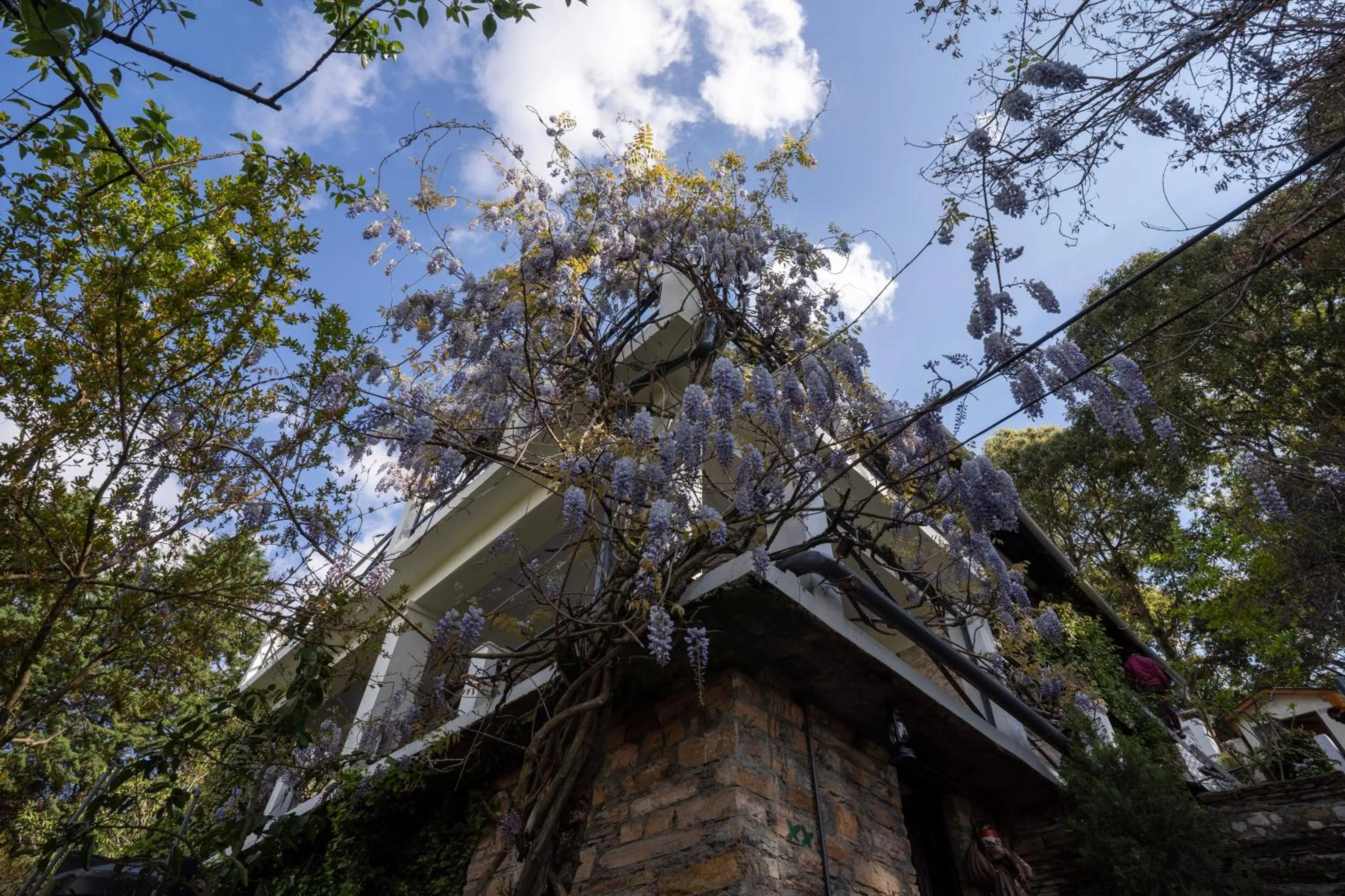 Natural landscape in Avenida Snowcap Retreat