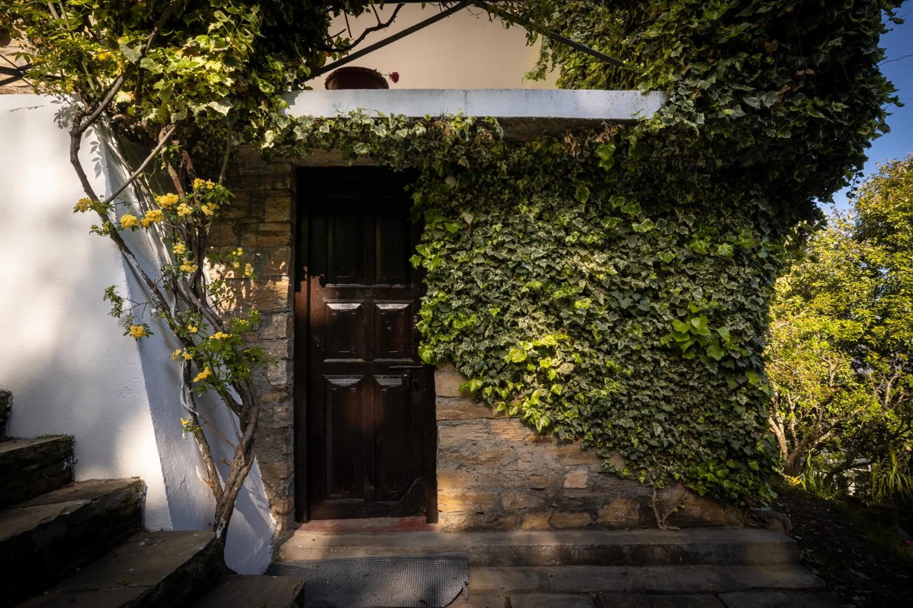 Garden view in Avenida Snowcap Retreat