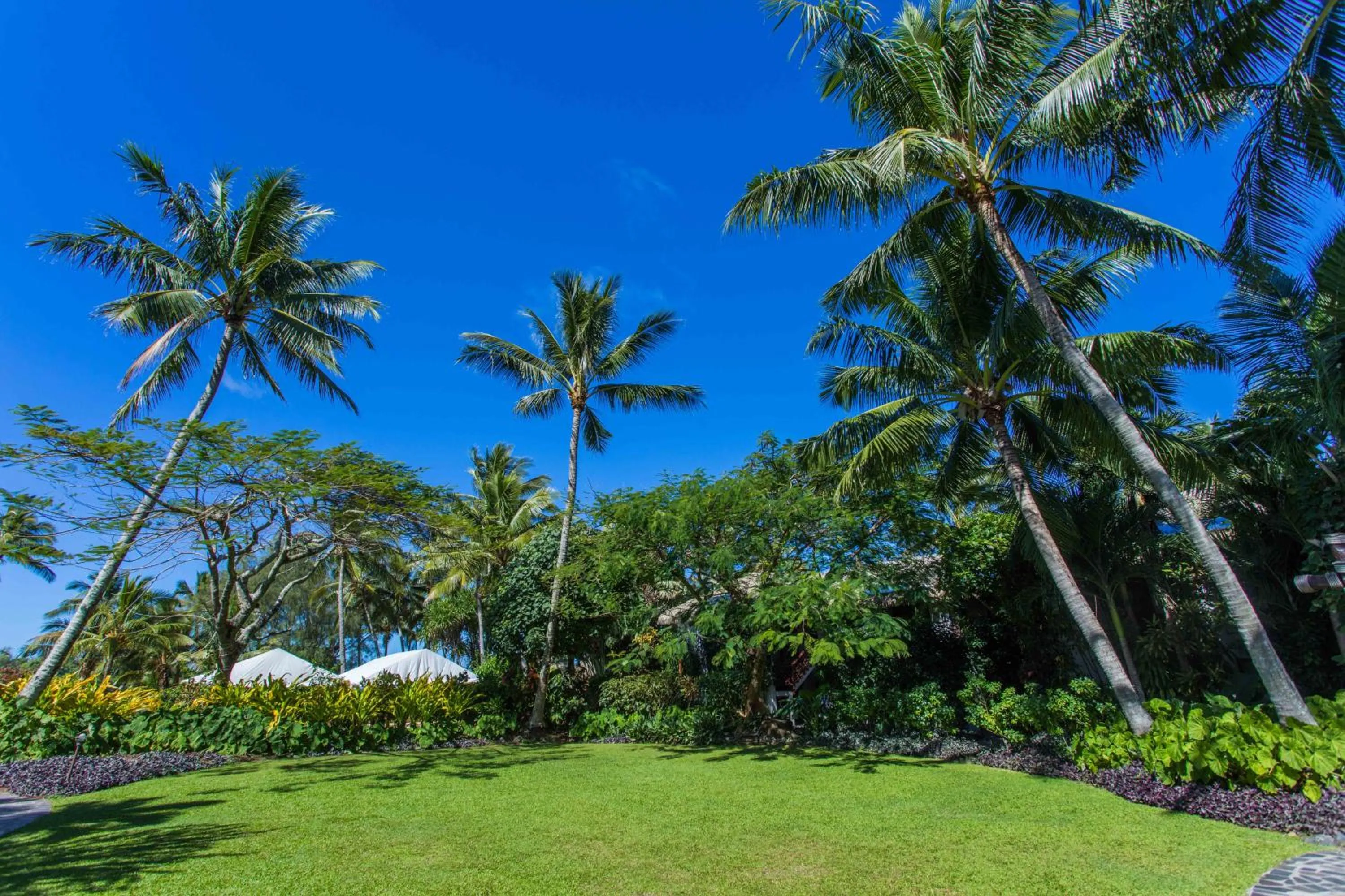 Garden in Pacific Resort Rarotonga