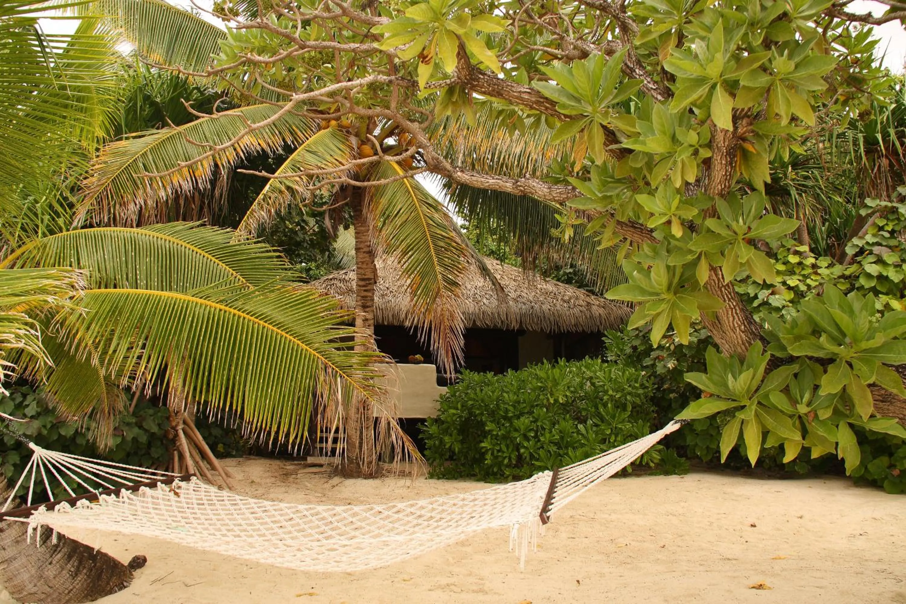 Beach in Pacific Resort Aitutaki - Adults Only