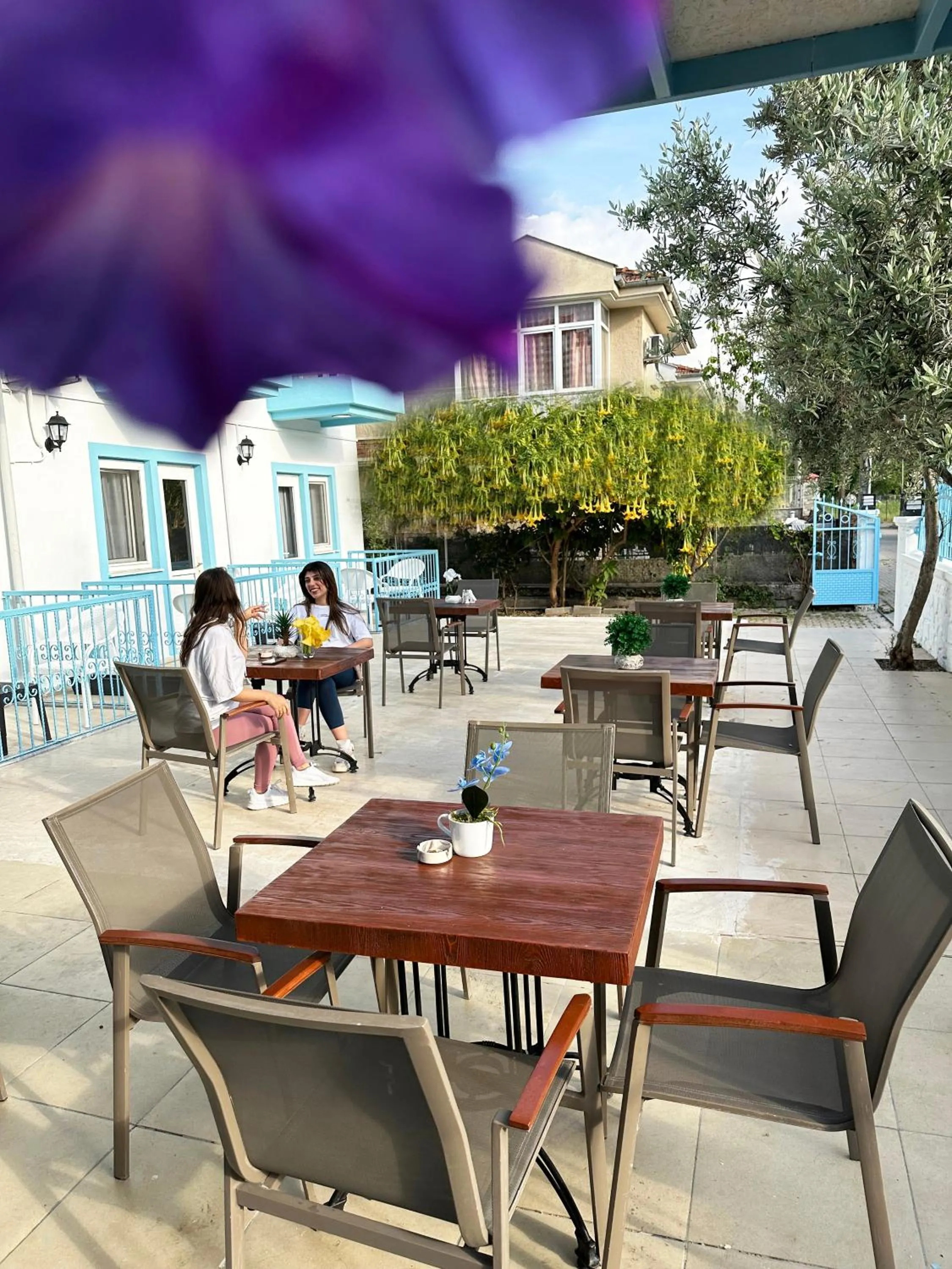 Restaurant/places to eat in enjoy hotel