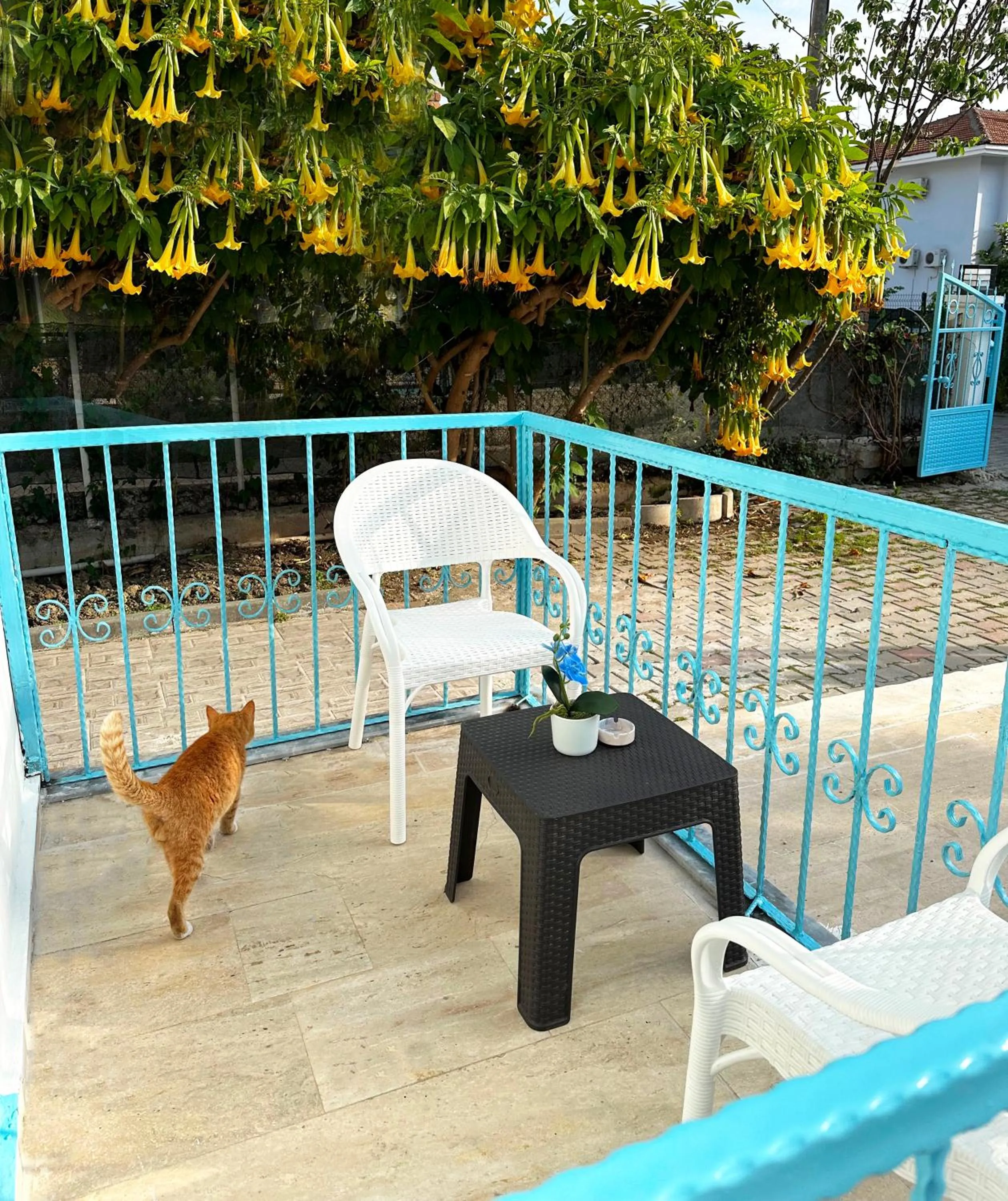 View (from property/room) in enjoy hotel