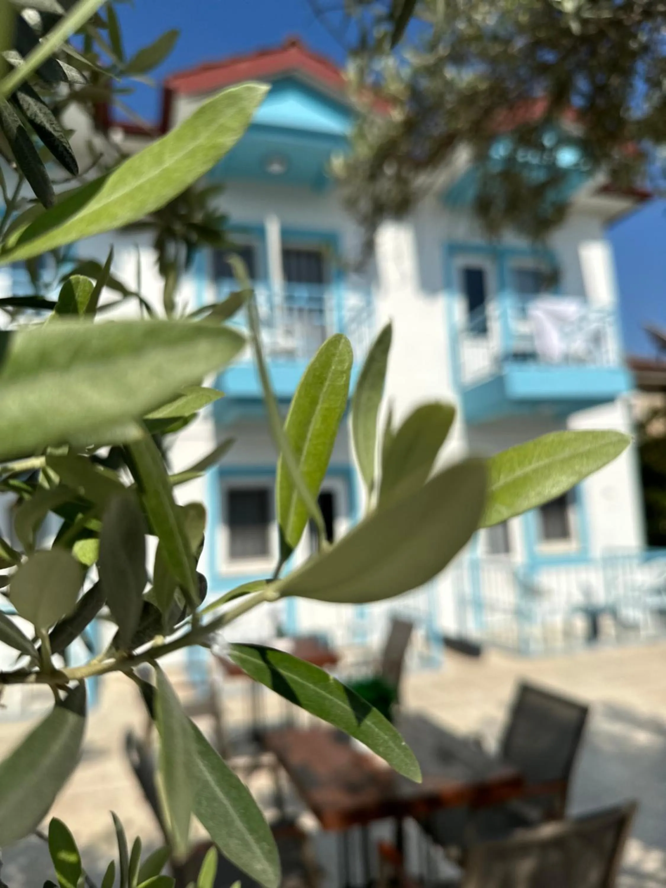 Property building in enjoy hotel