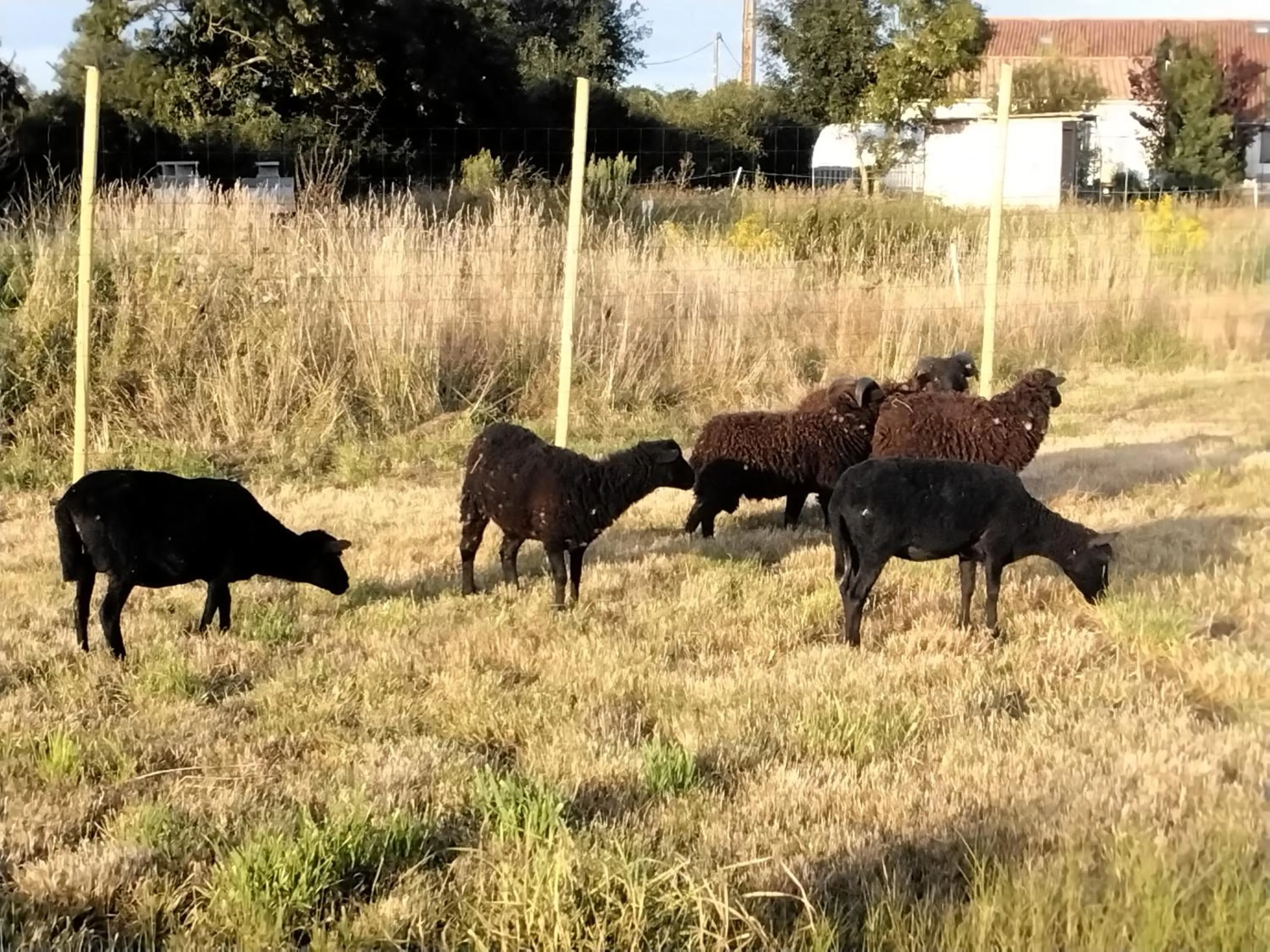DOMAINE DE LA LUCARLIERE