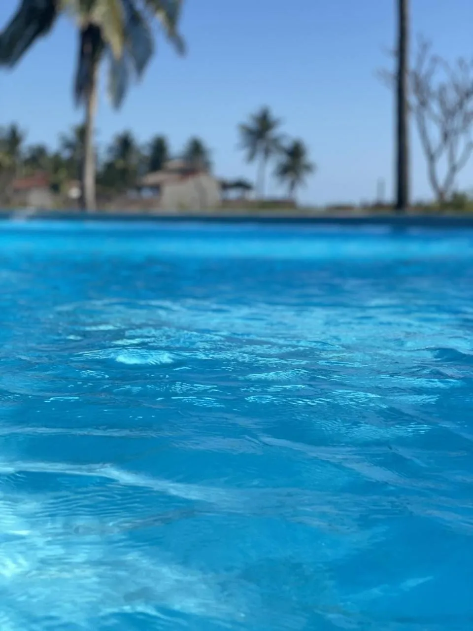 Swimming pool in HOTEL TESORO BEACH
