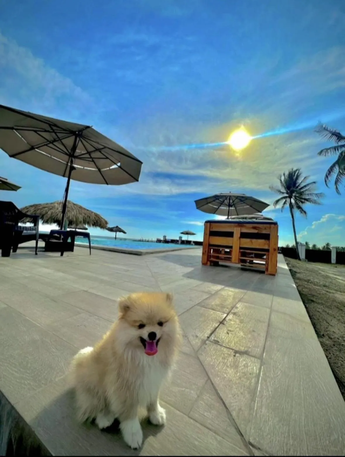 Swimming pool in HOTEL TESORO BEACH