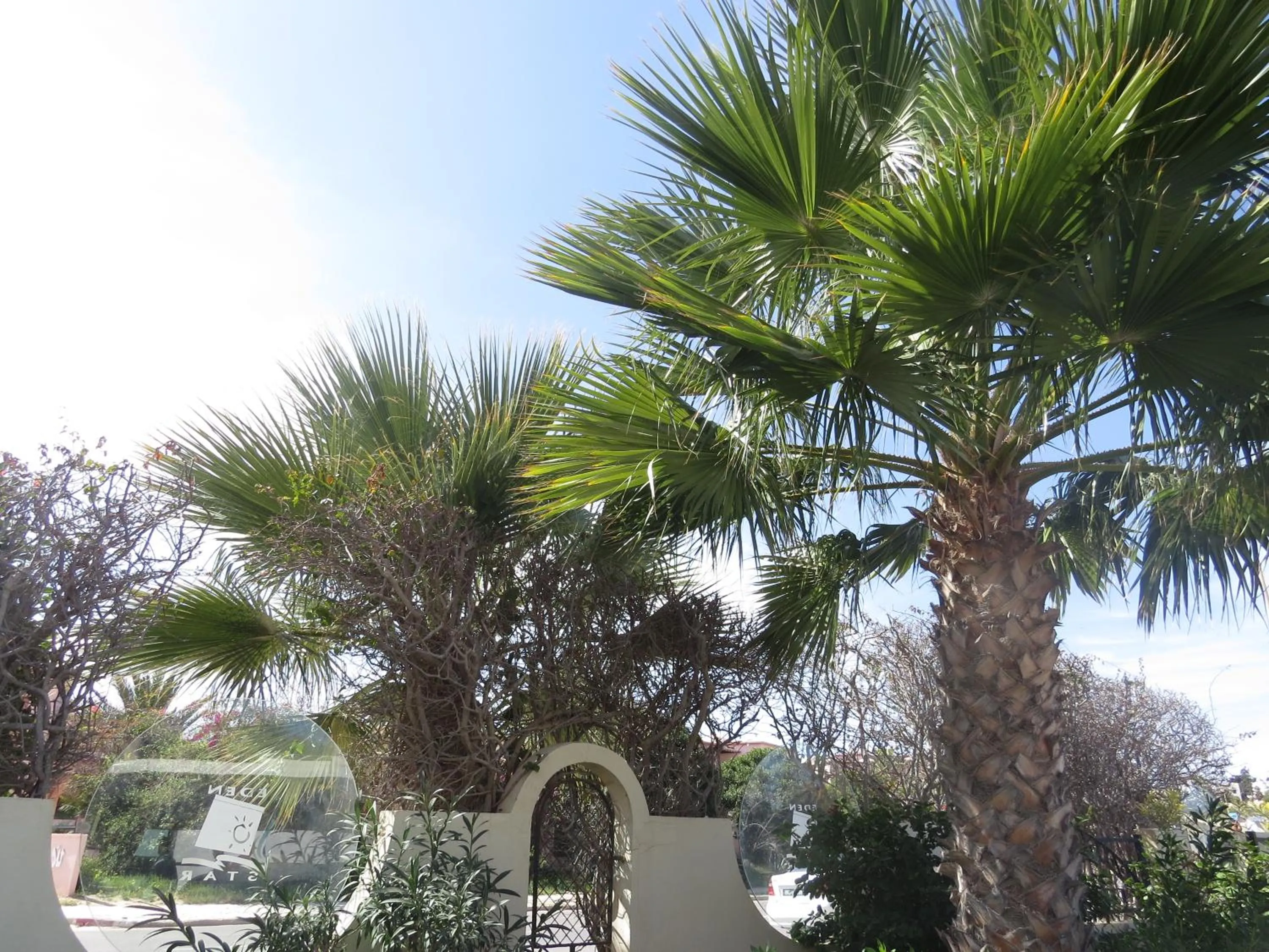 Garden in Eden Star Resort