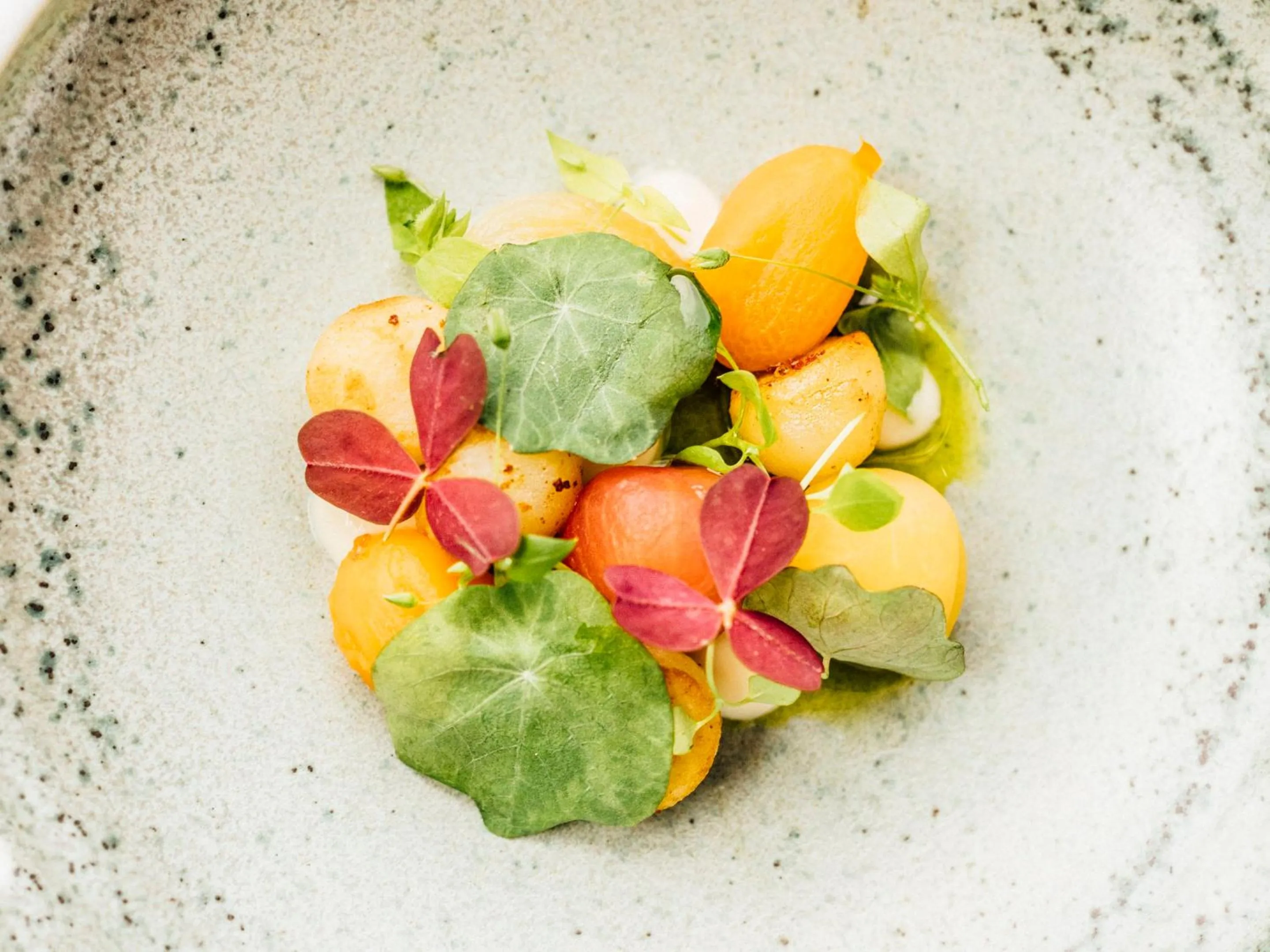 Restaurant/places to eat in Hotel Føroyar