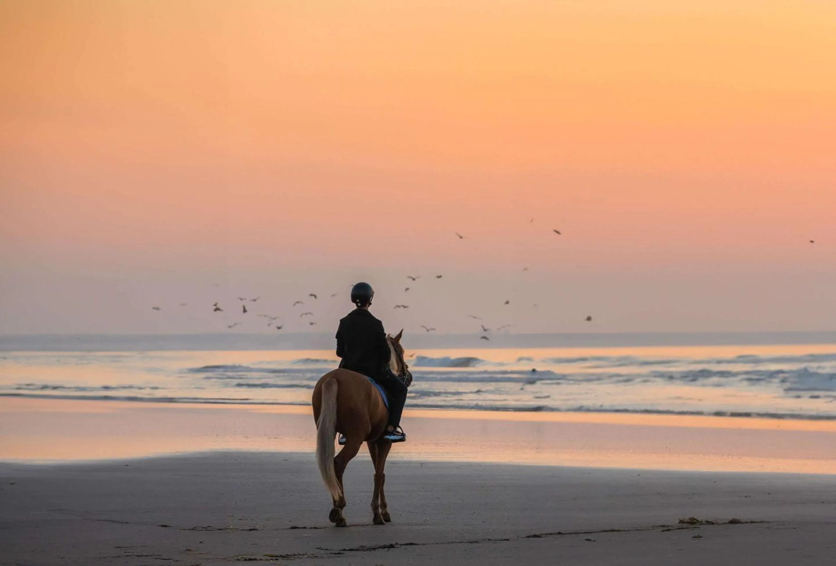 Sports in Mazagan Beach & Golf Resort