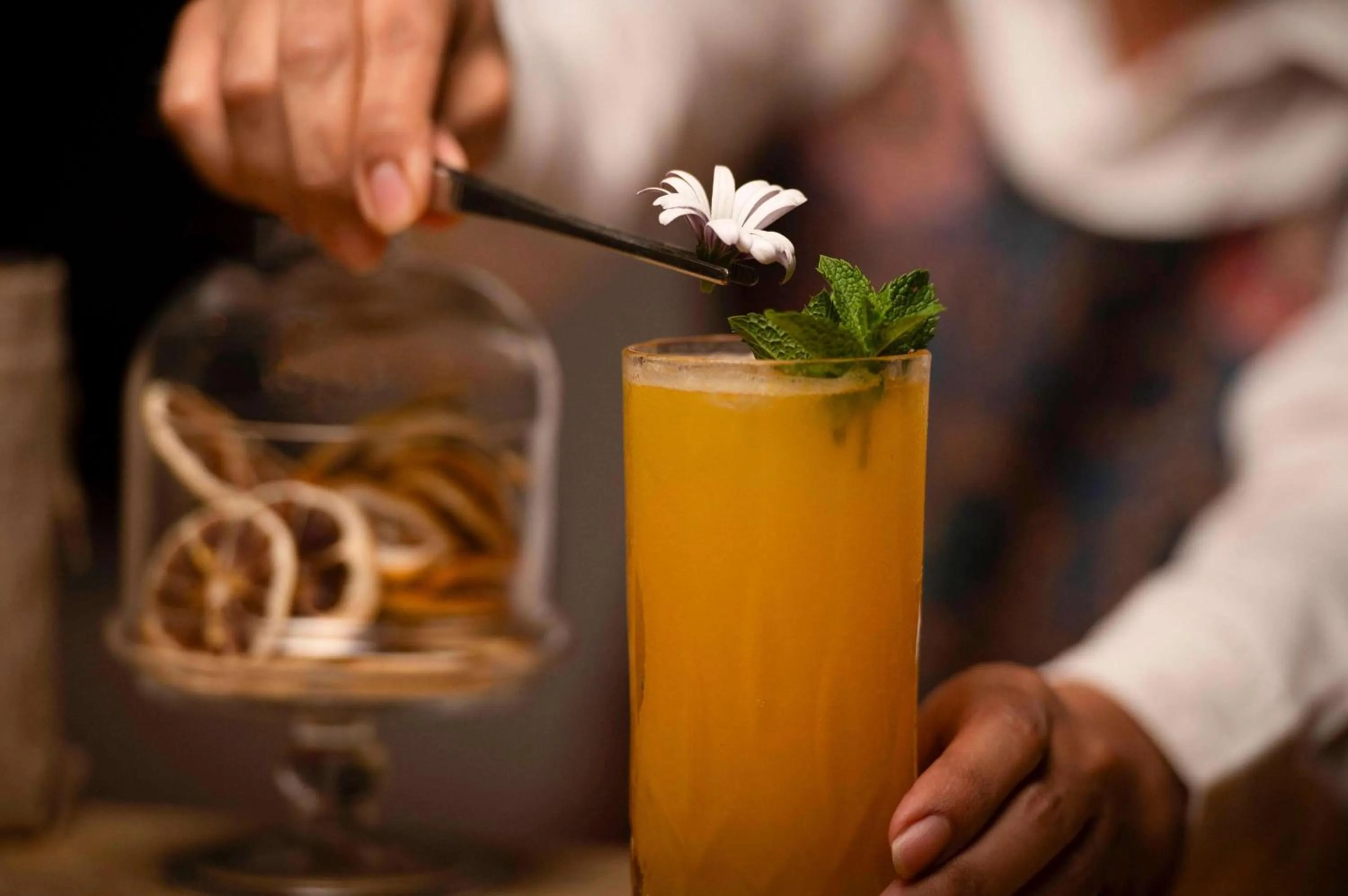 Restaurant/places to eat in Mazagan Beach & Golf Resort