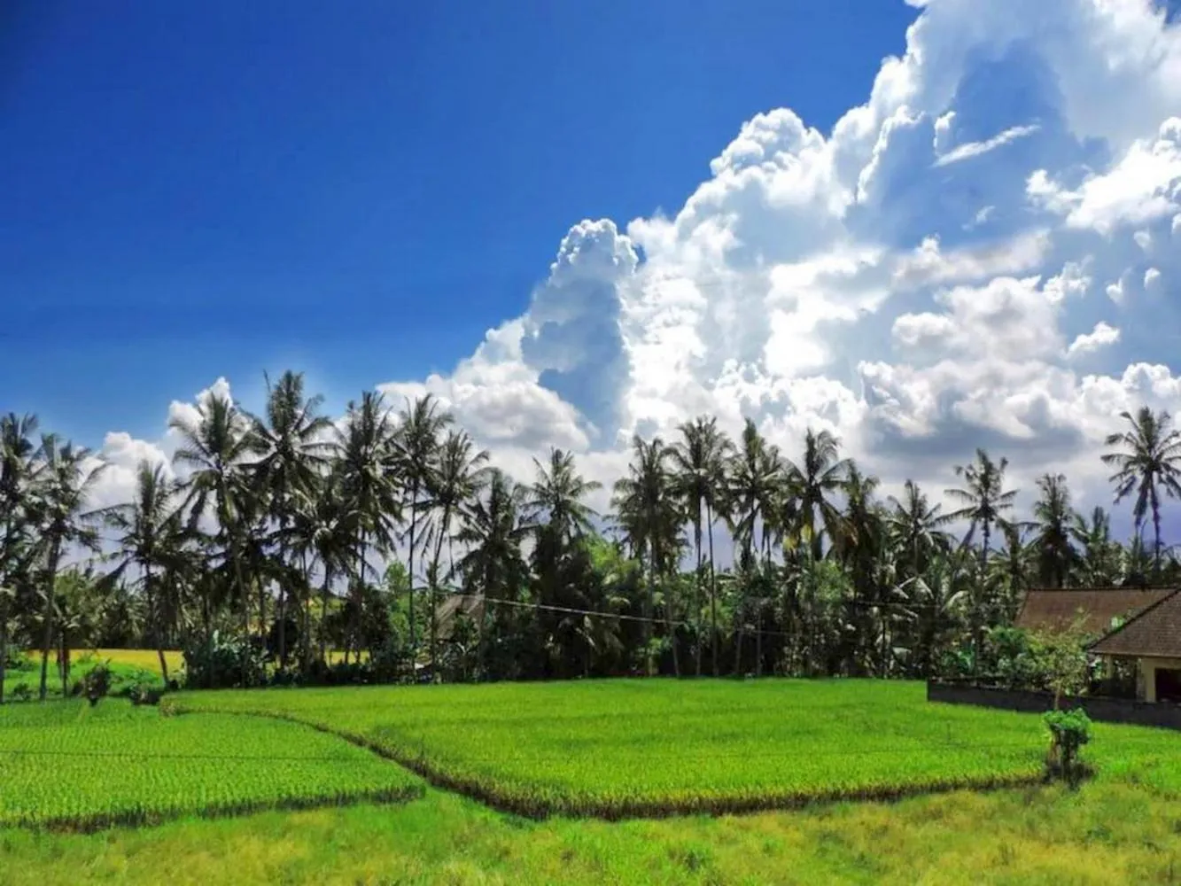 View (from property/room) in Pondok Ayu Soca