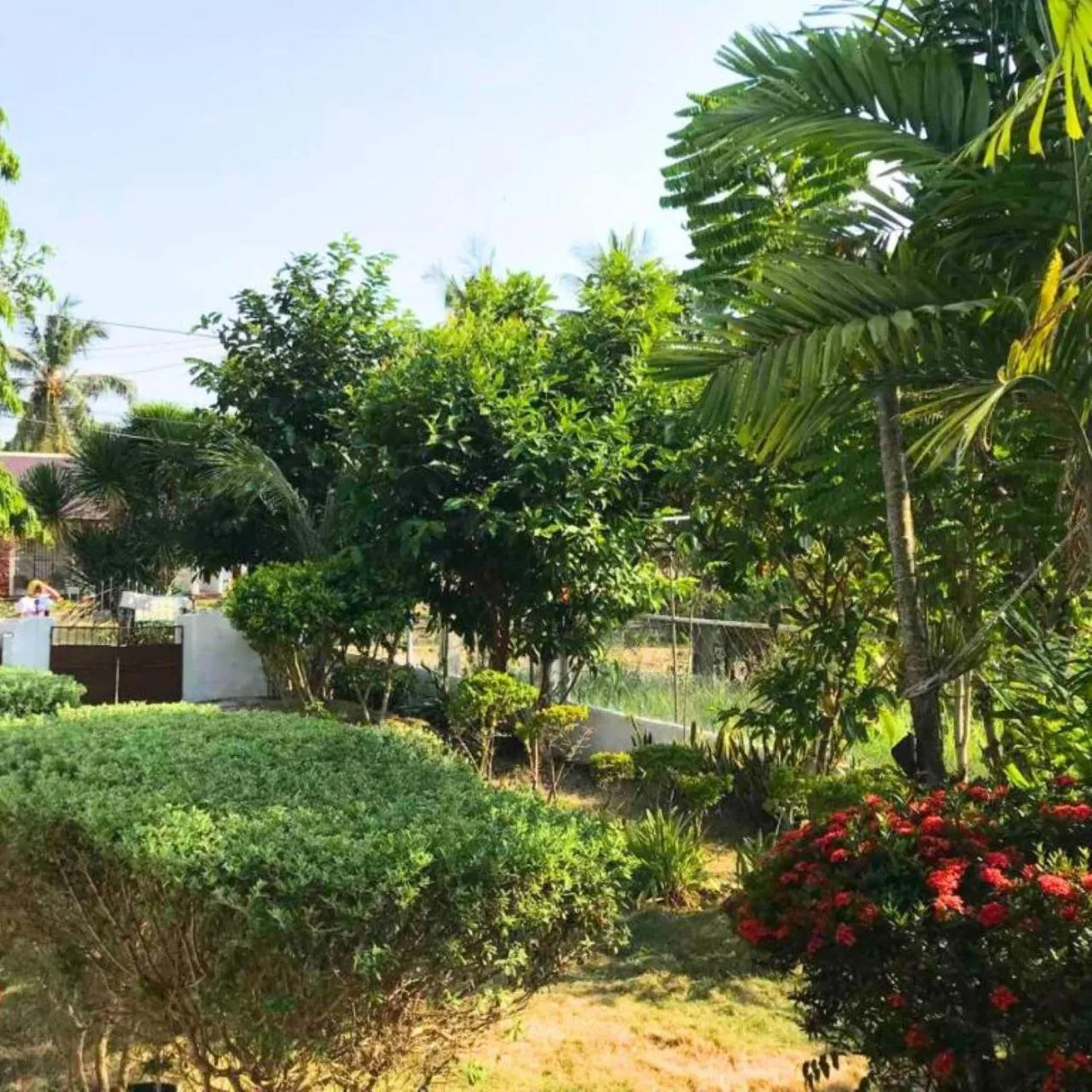 Garden in Gerty's Tourist Inn powered by Cocotel