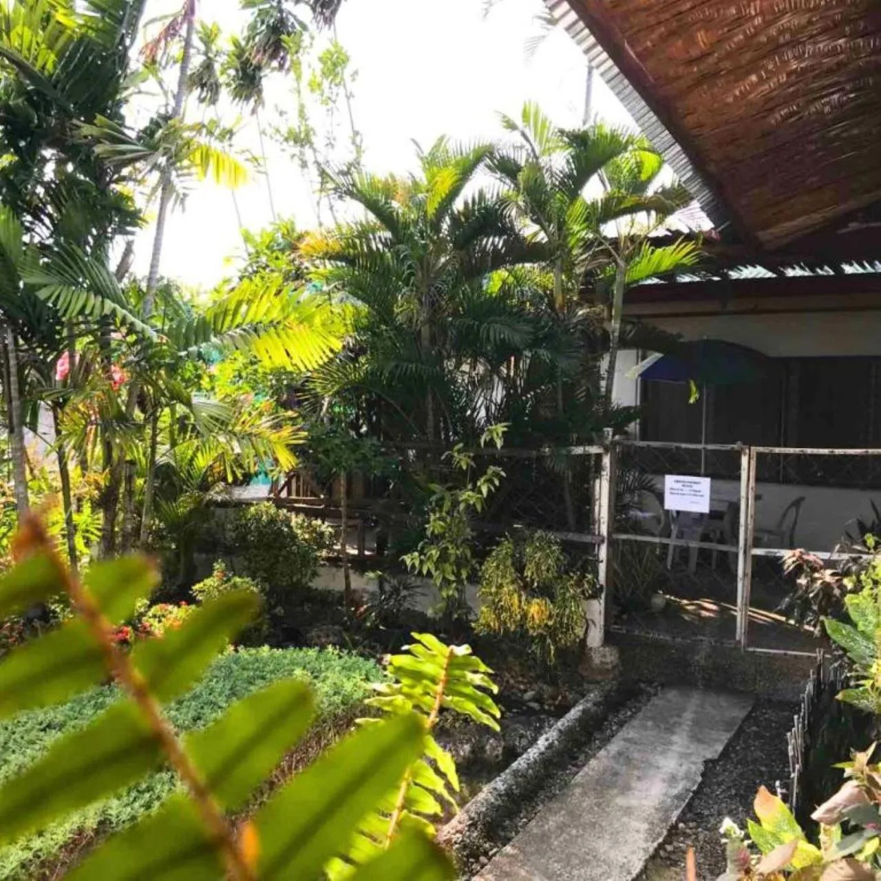 Garden in Gerty's Tourist Inn powered by Cocotel