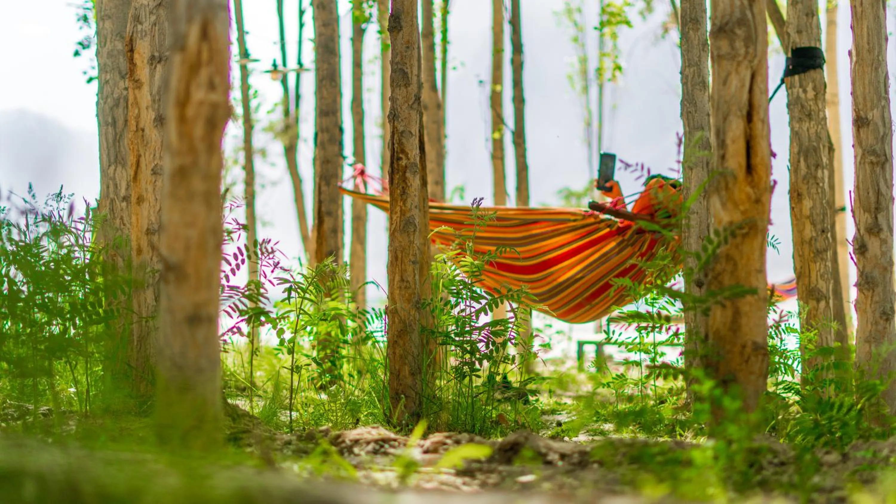 Day in Khoj Resorts Shigar