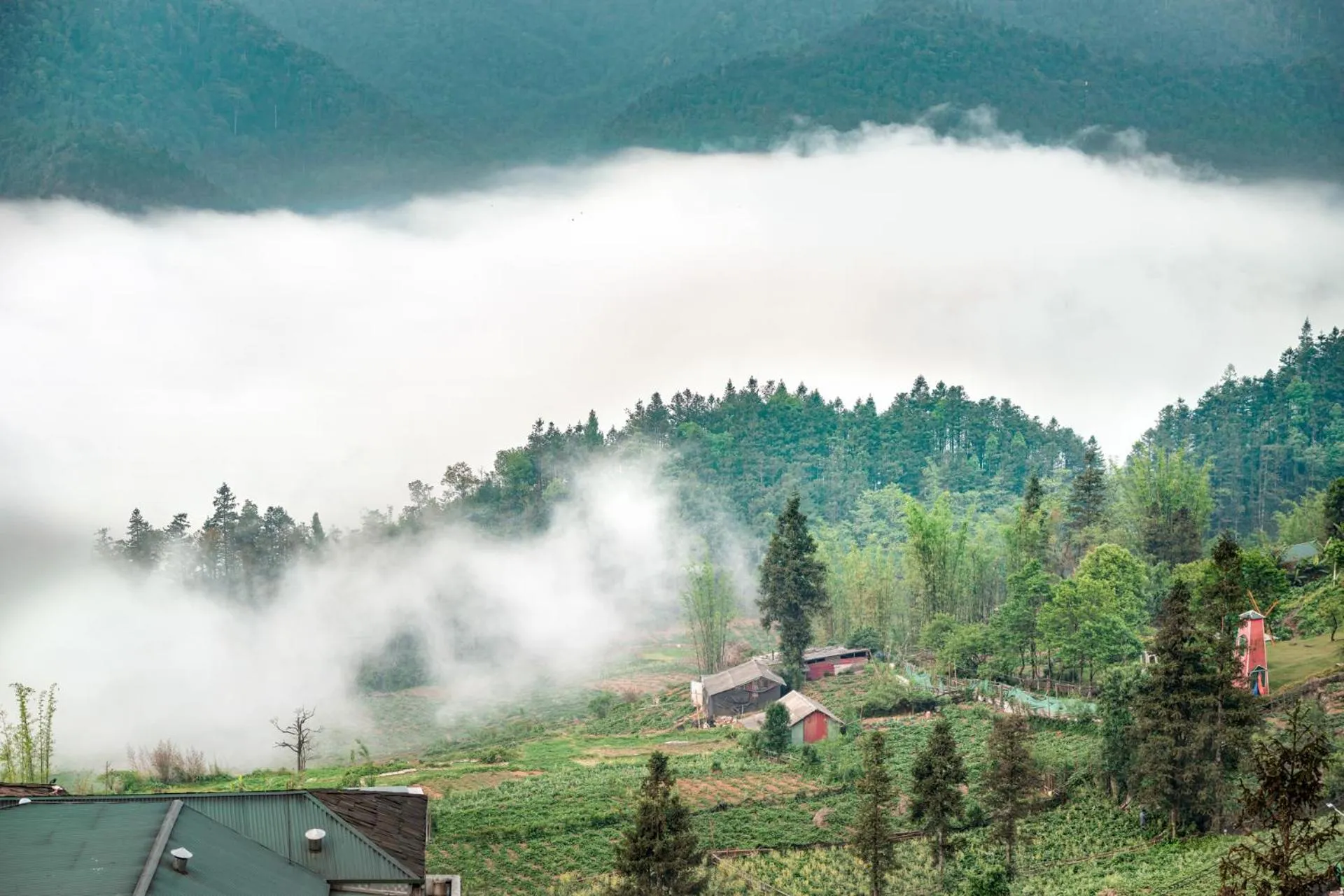 Spring in Tiger Sapa hotel