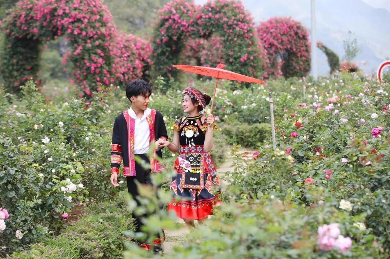 Spring in Tiger Sapa hotel