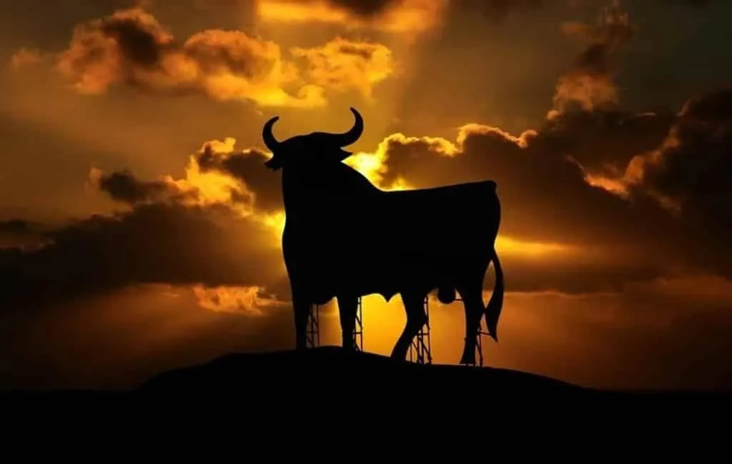 Logo/Certificate/Sign in Studio La Carihuela