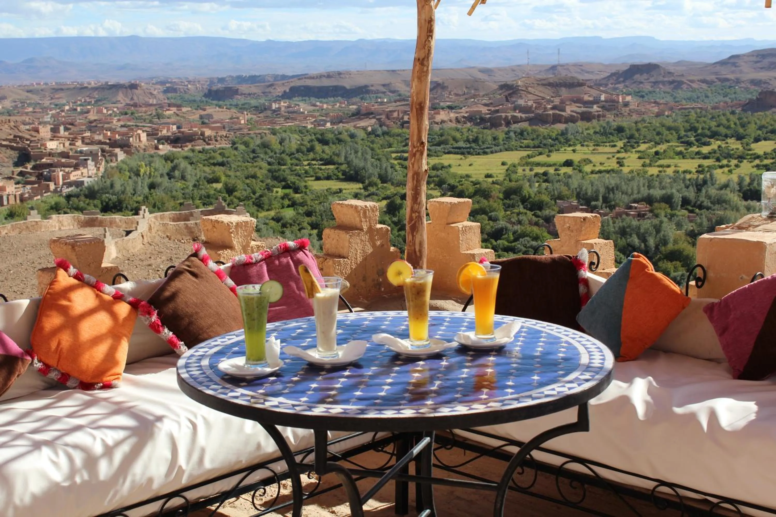 Garden in Dar Timitar