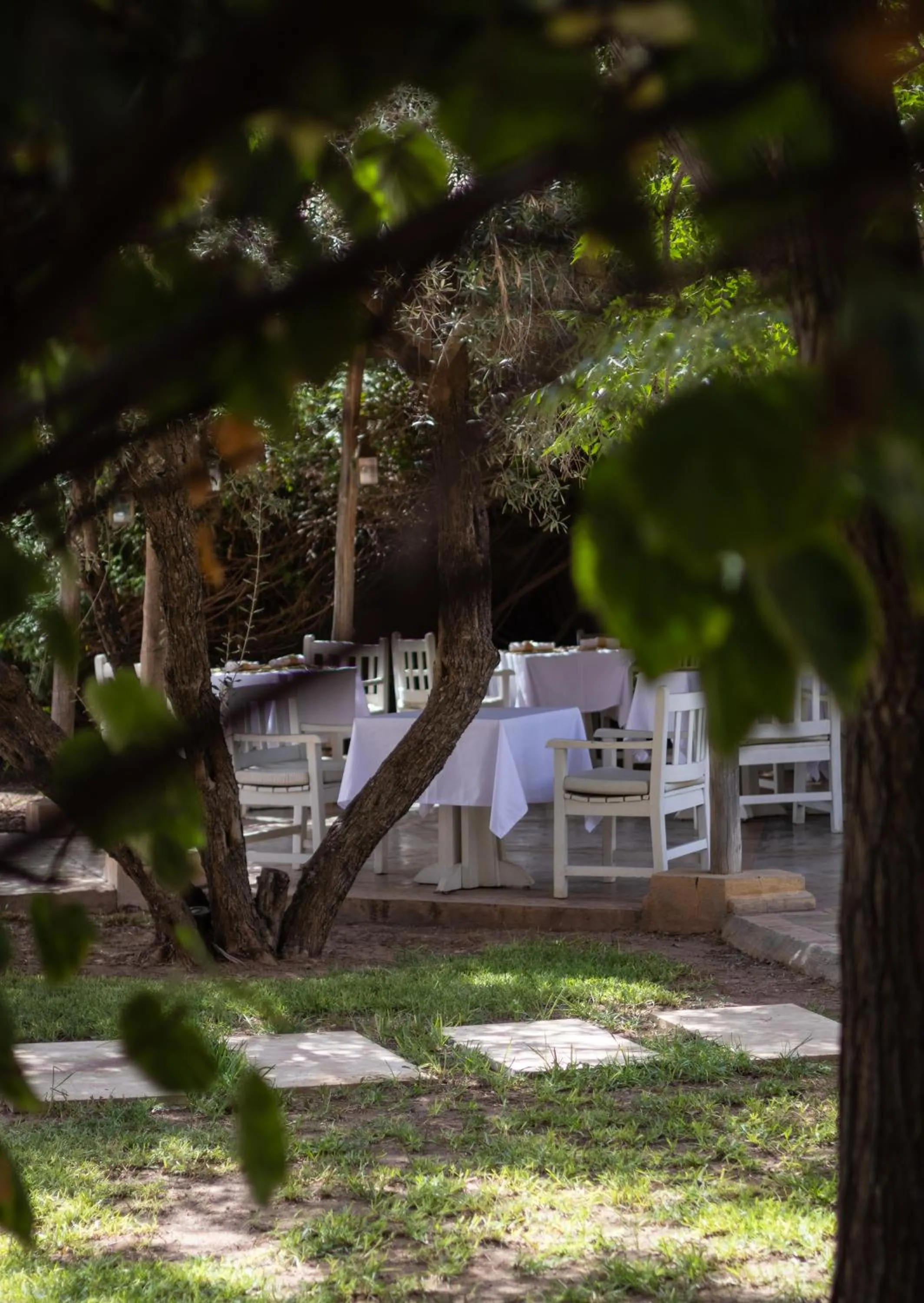 Restaurant/places to eat in Villa Al Assala Palmeraie